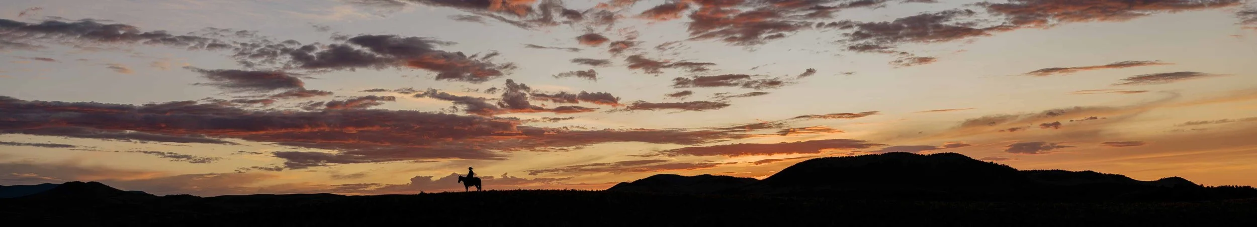 DSC_2065-Pano.jpg
