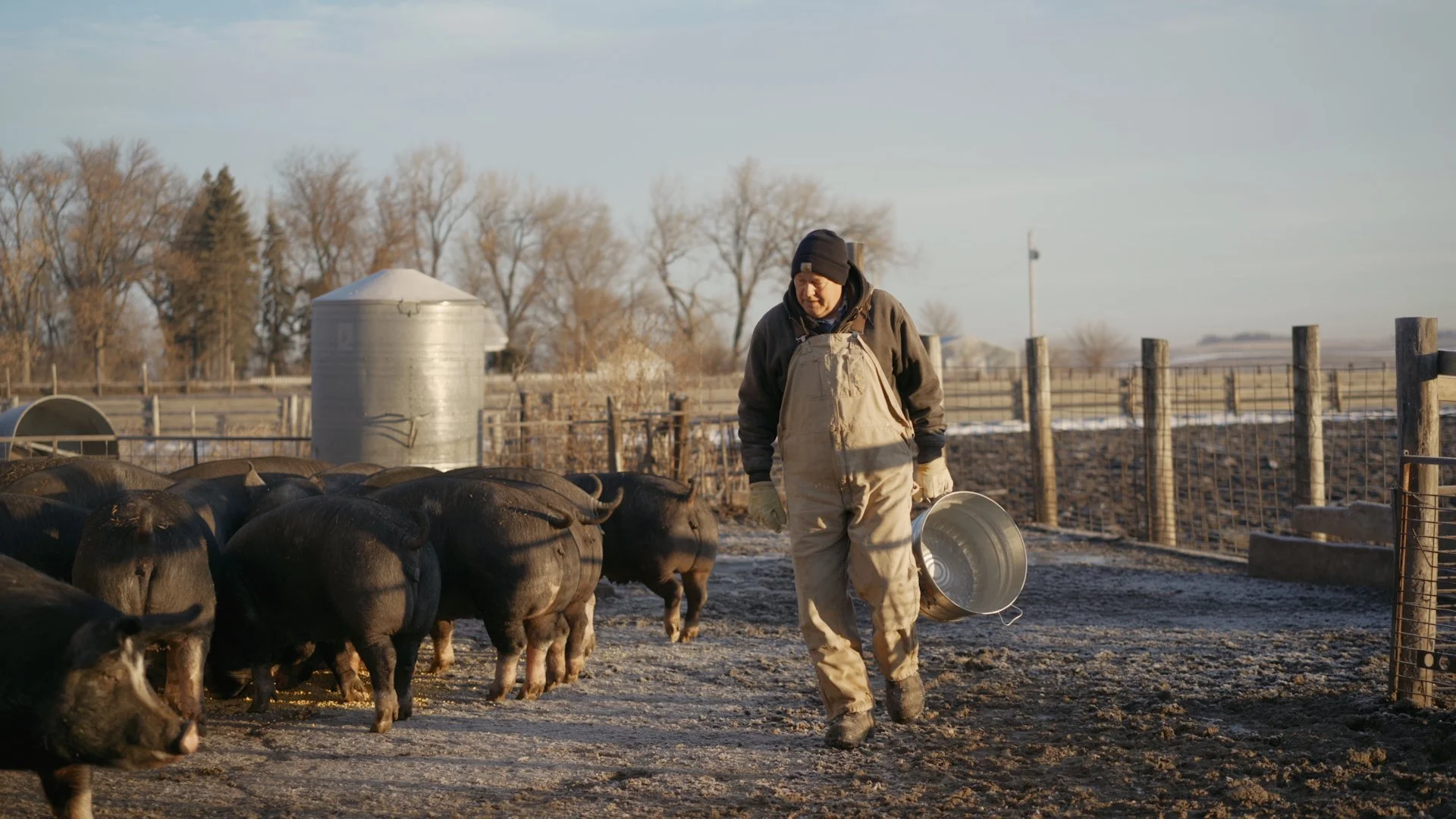 Day 2.01_30_11_19.Still021.jpg