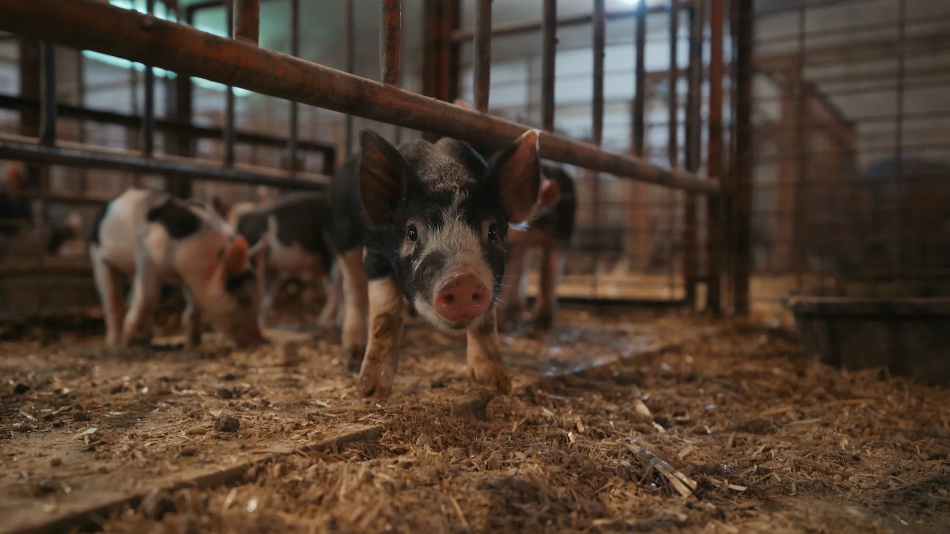 Day 1.00_26_18_12.Still025.jpg