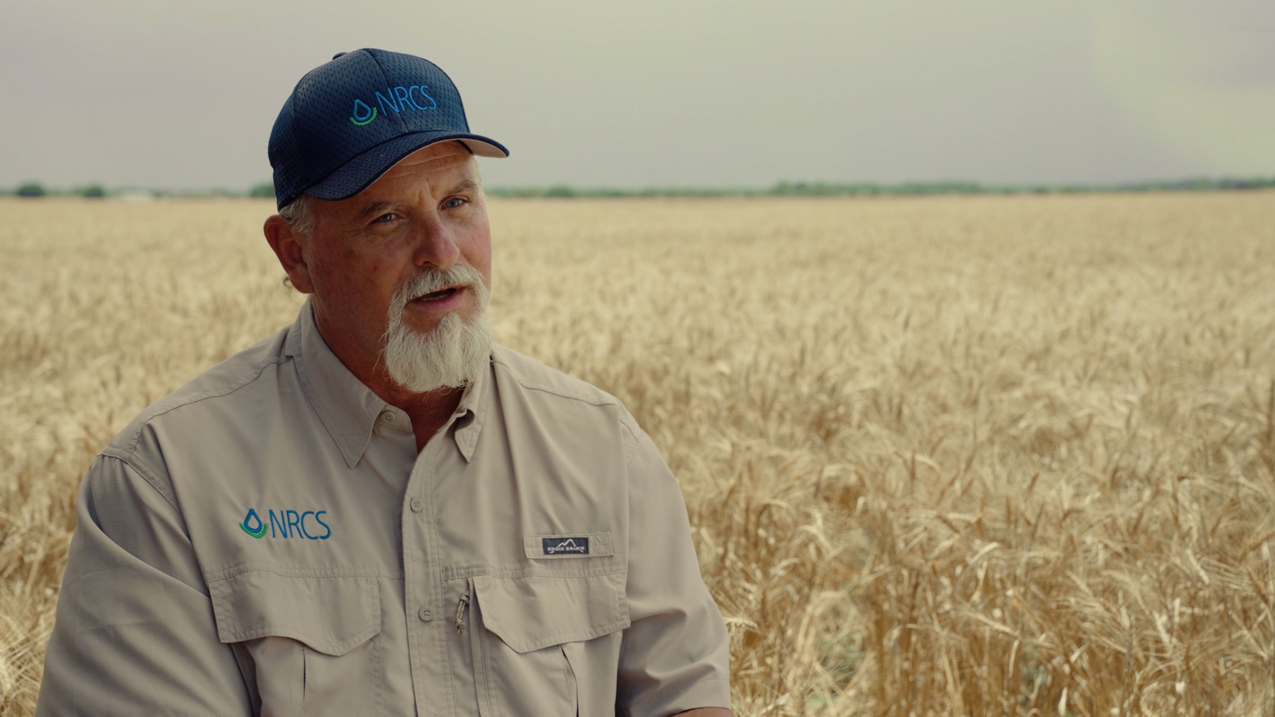 All MLP Work.03_36_09_13.Still004.jpg