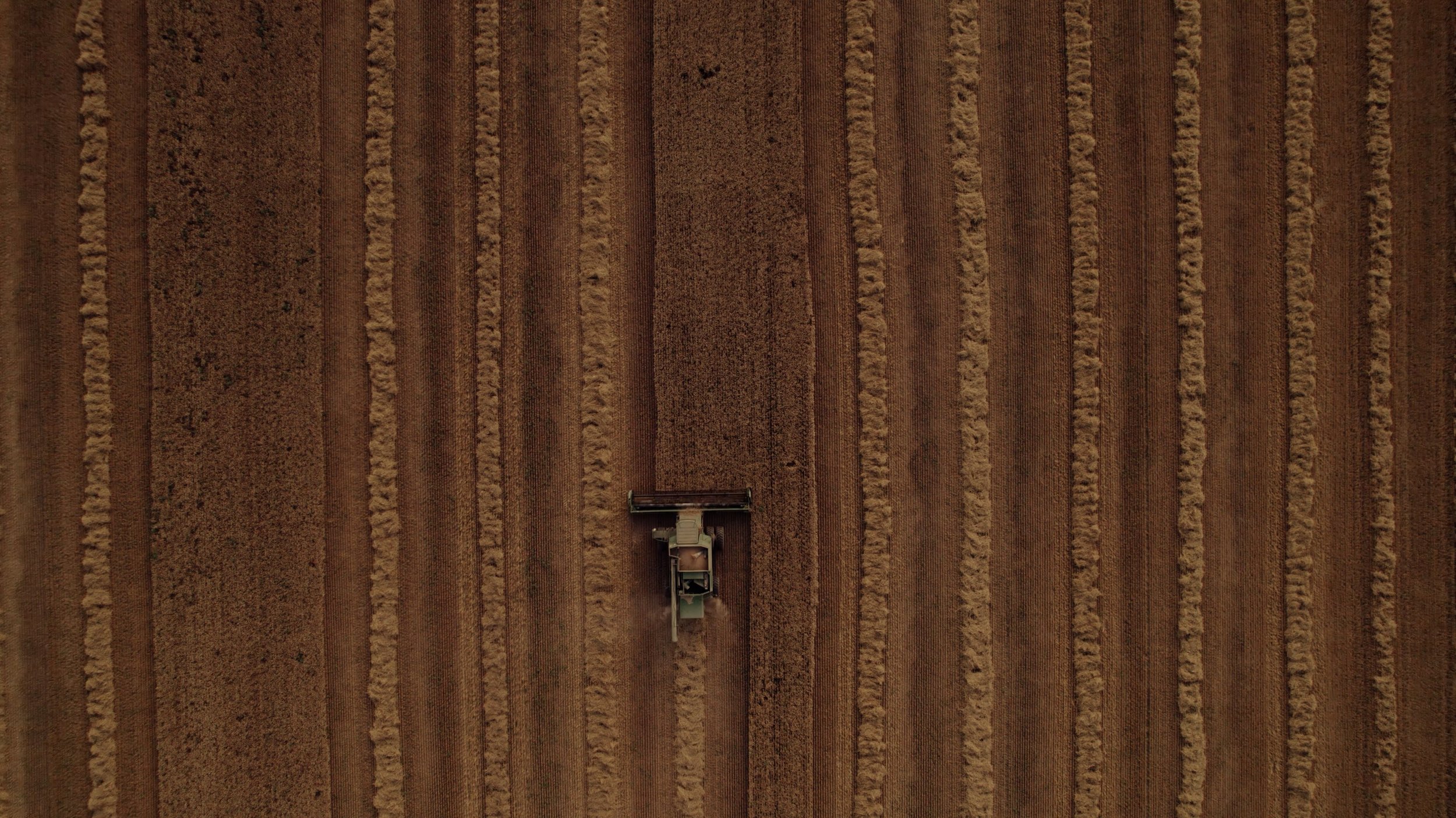 All MLP Work.03_36_59_03.Still007.jpg