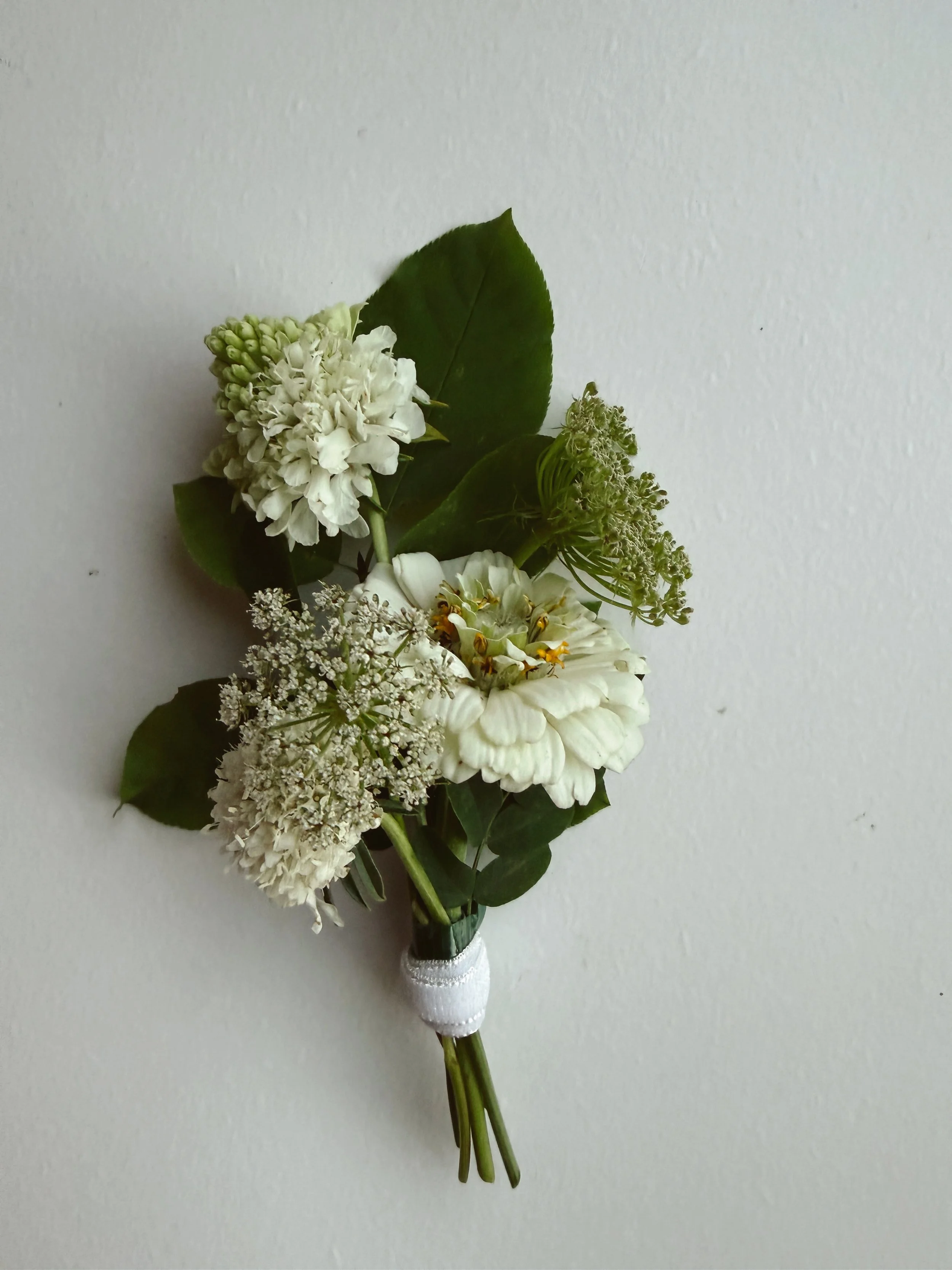 Tezza-0869.JPG
