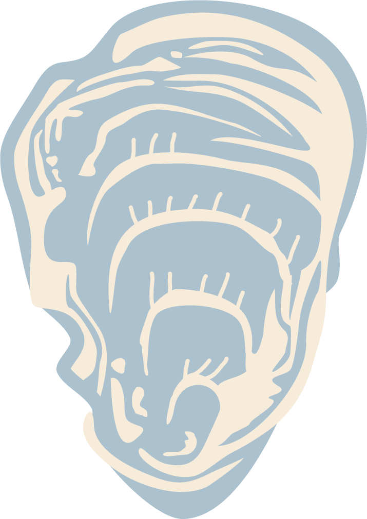 Illustrated oyster outline with blue and beige colors