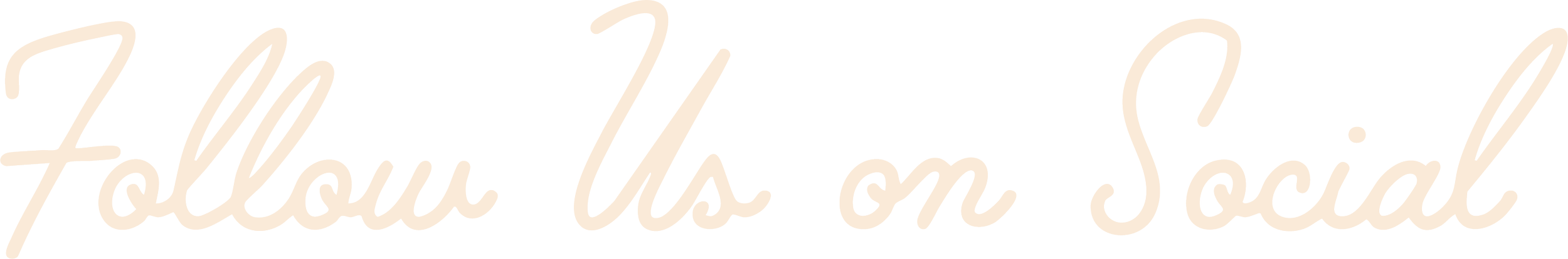 Follow Us on Social script text in beige