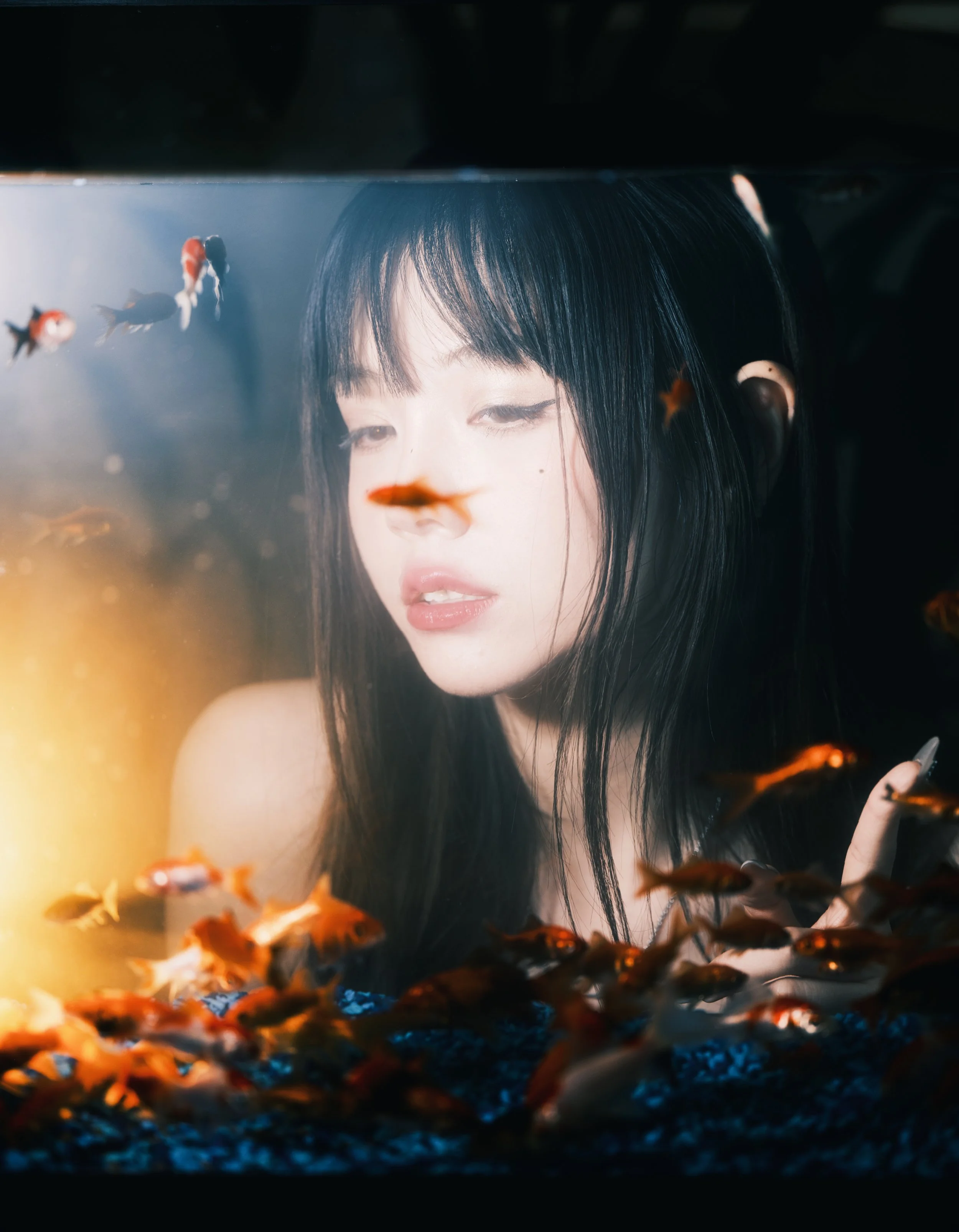 A woman with long black hair and bangs looking at an aquarium with orange and black fish swimming inside.