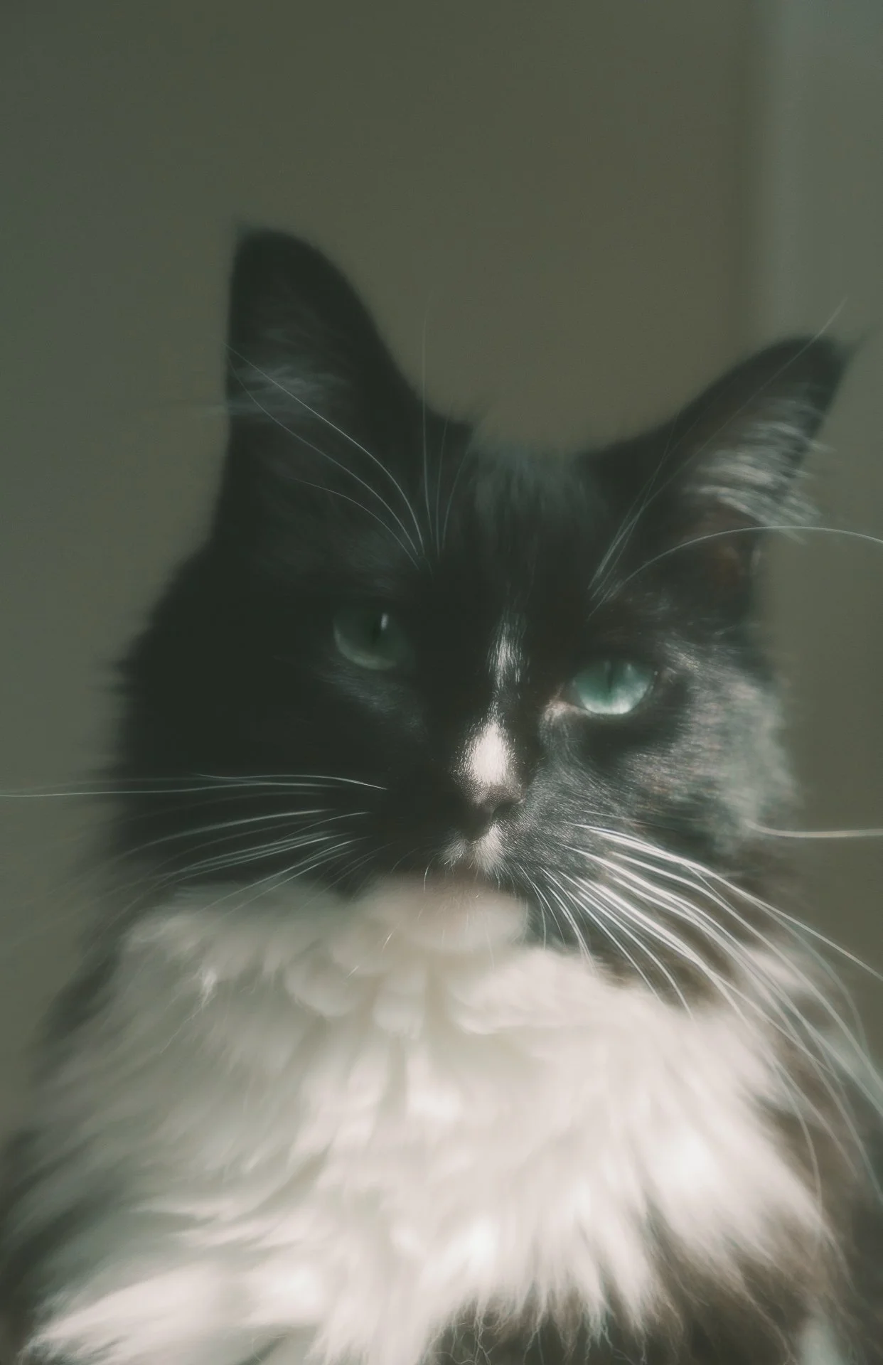 RainHe_02_personal_term1 copy 2.JPG