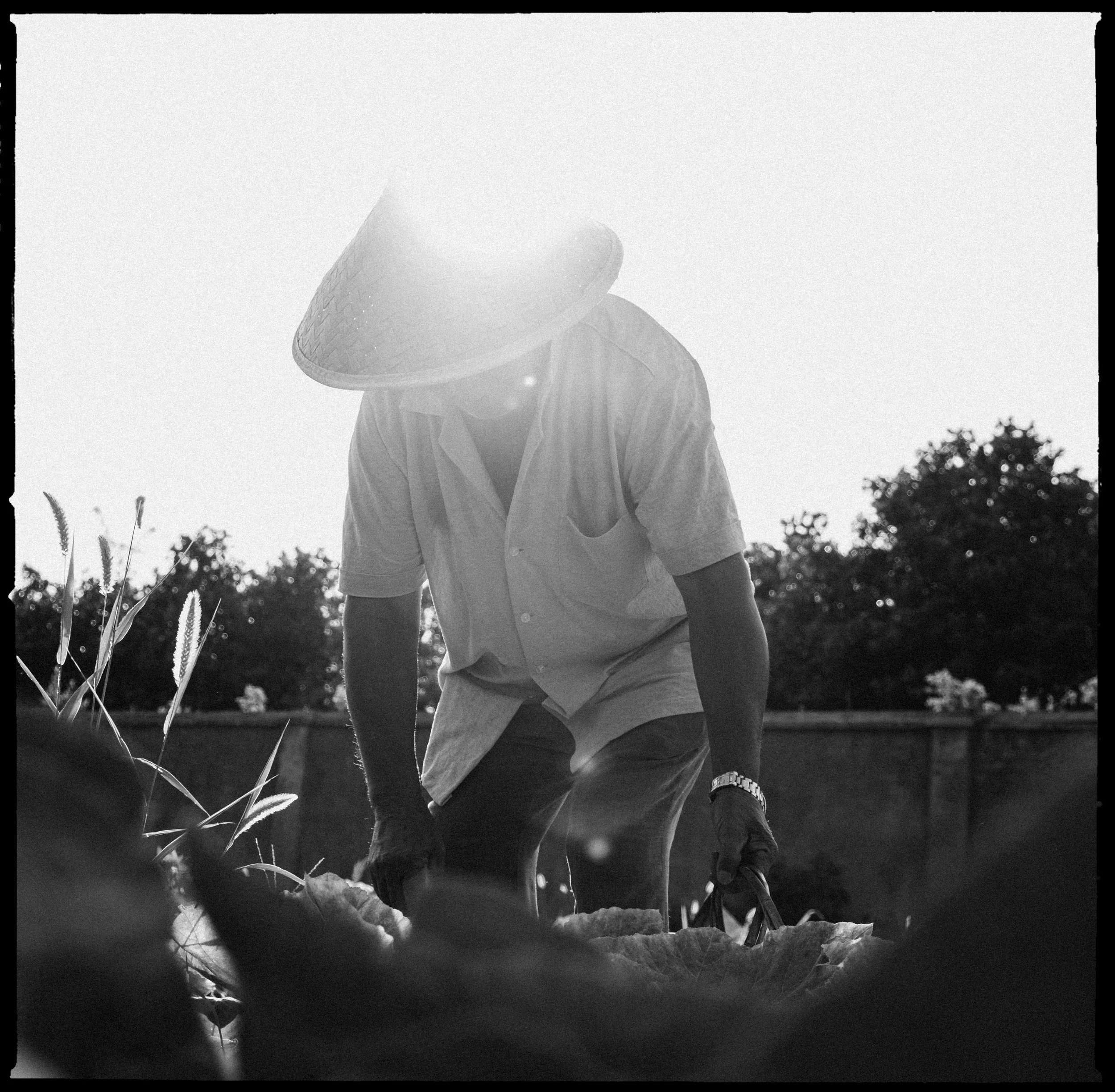 HeR_09_PersonalProject_Term4 copy.jpg