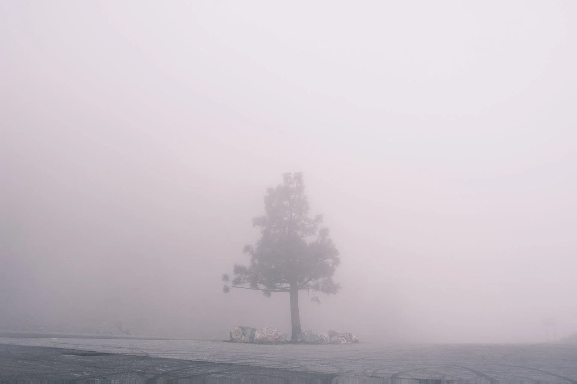 RainHe_01_personal_term2 copy 2.jpg