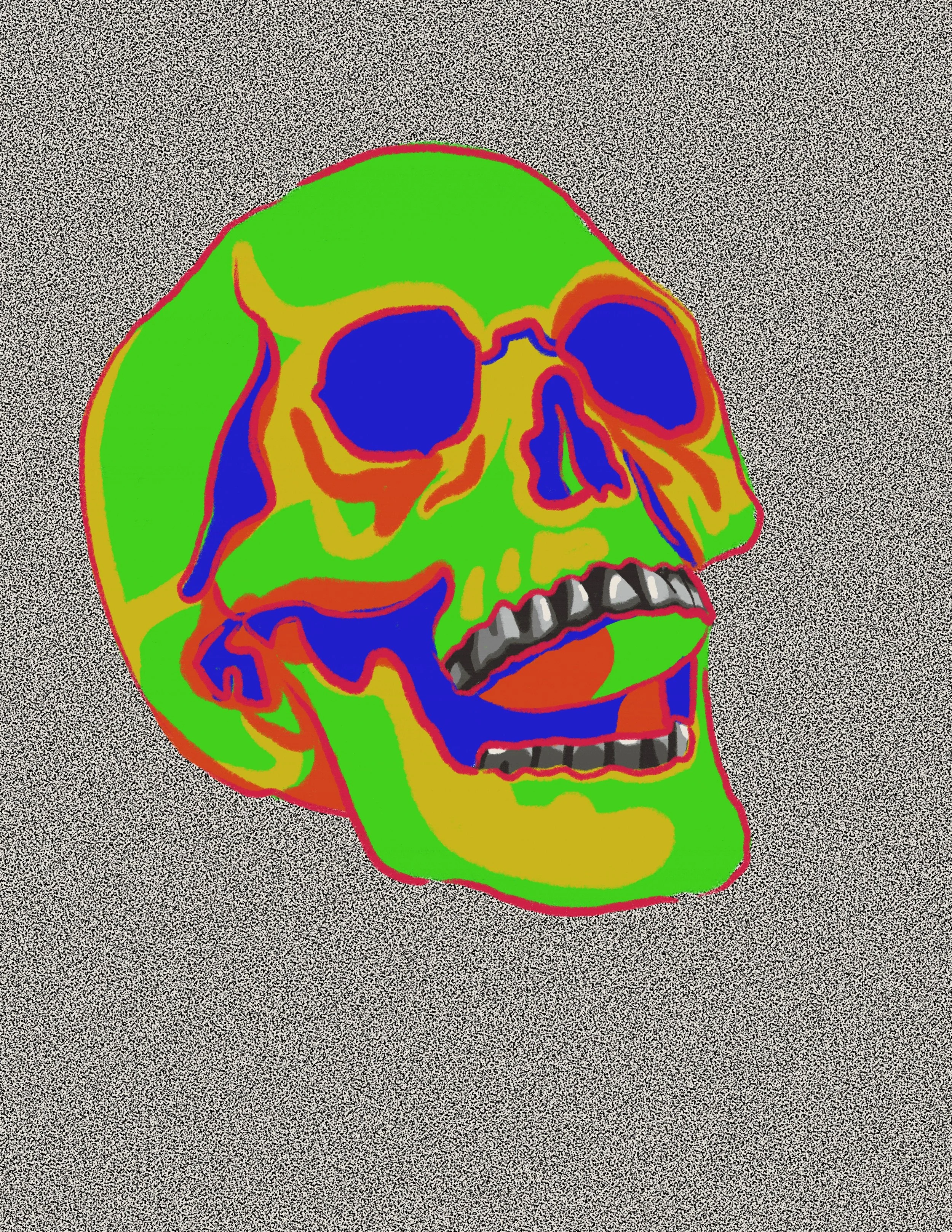 A stylized, colorful illustration of a human skull with various sections outlined in bright colors, set against a textured, speckled gray background.