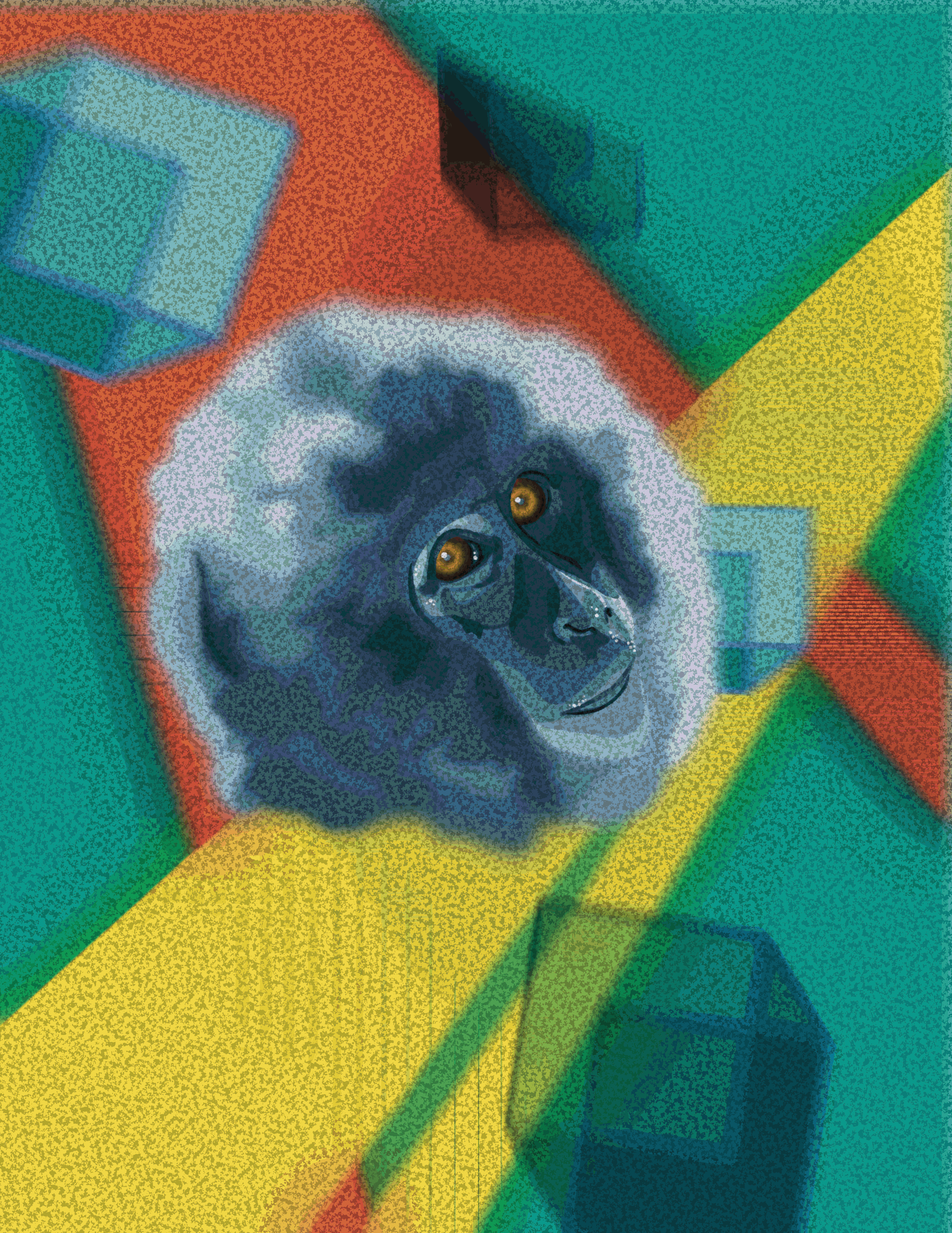 A dog with brown eyes and dark fur lying on the floor, surrounded by colorful foam mats in red, yellow, green, and blue.