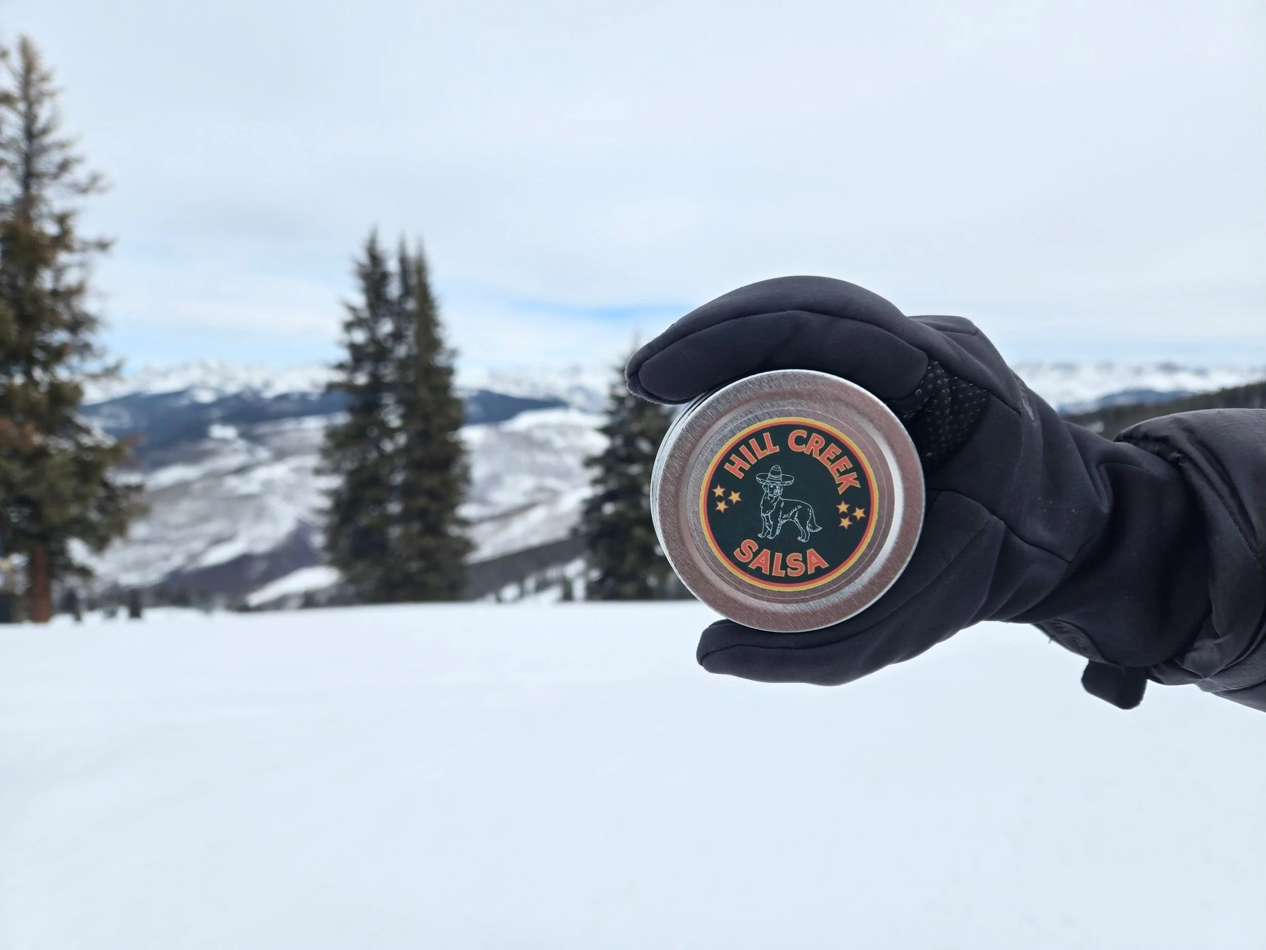 20250210_111231 (2).jpg