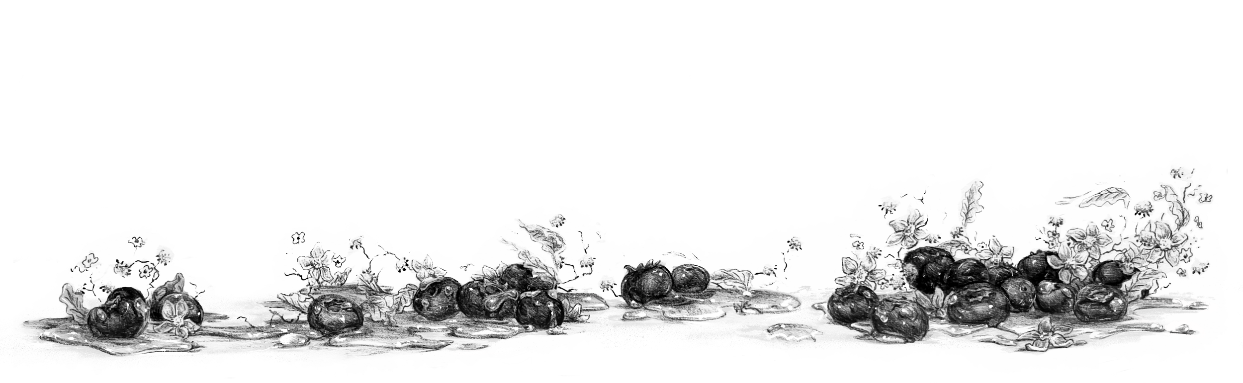 Untitled_Artwork 184.png