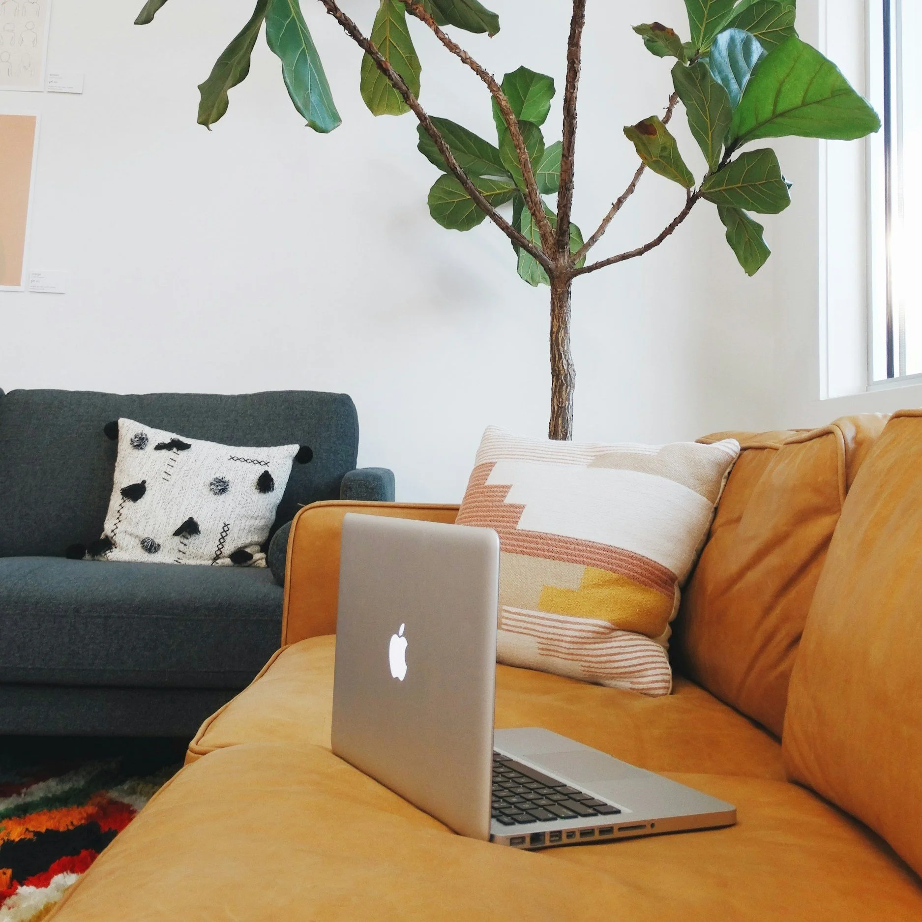 virtual therapy sessions, online sessions