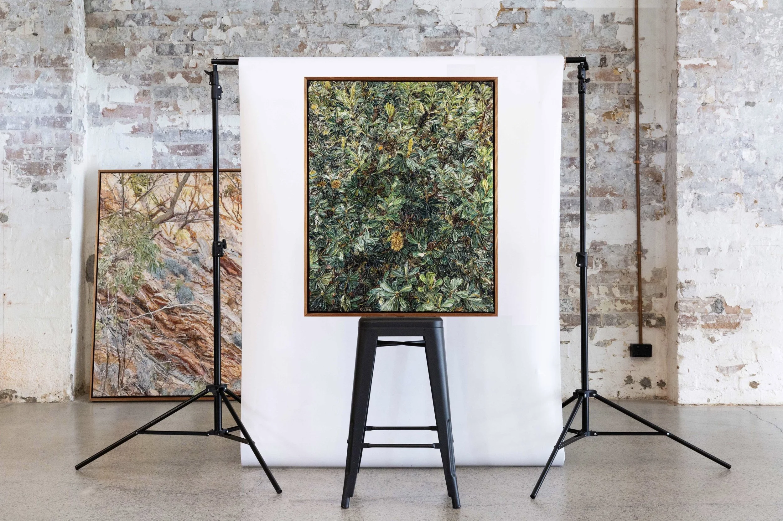 Image 15-2-2026 at 4.39 pm.JPG