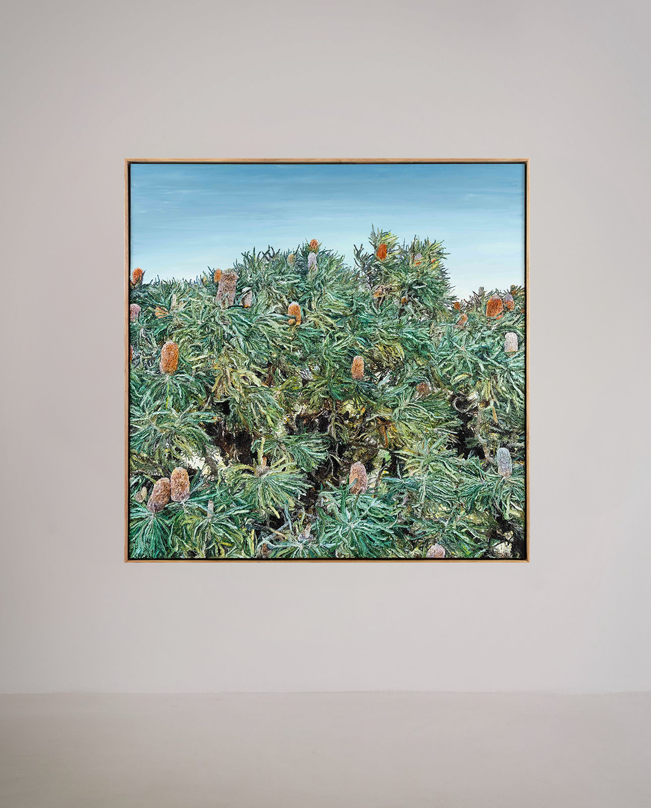 banksia.png