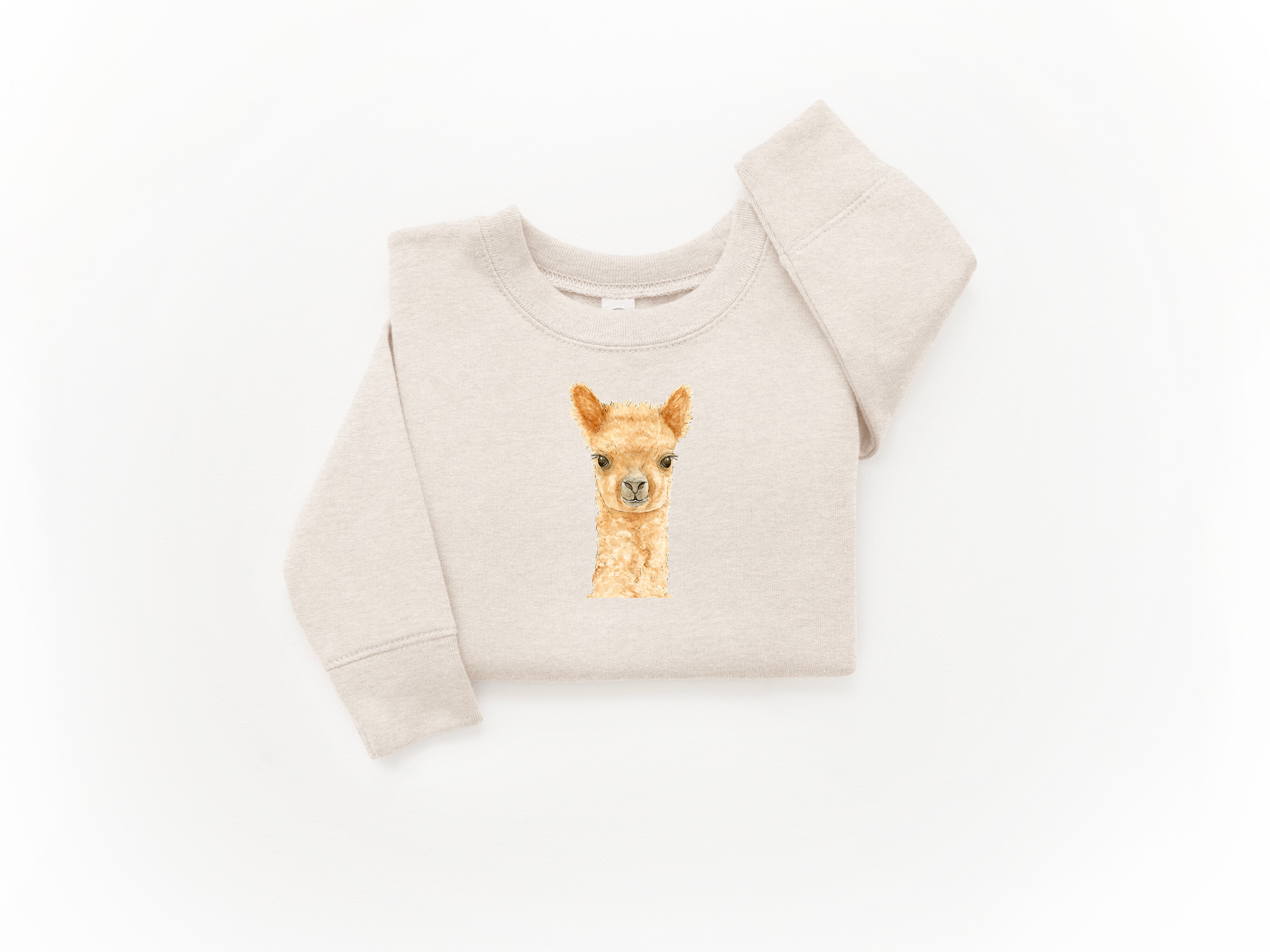 Alpaca Sweatshirt