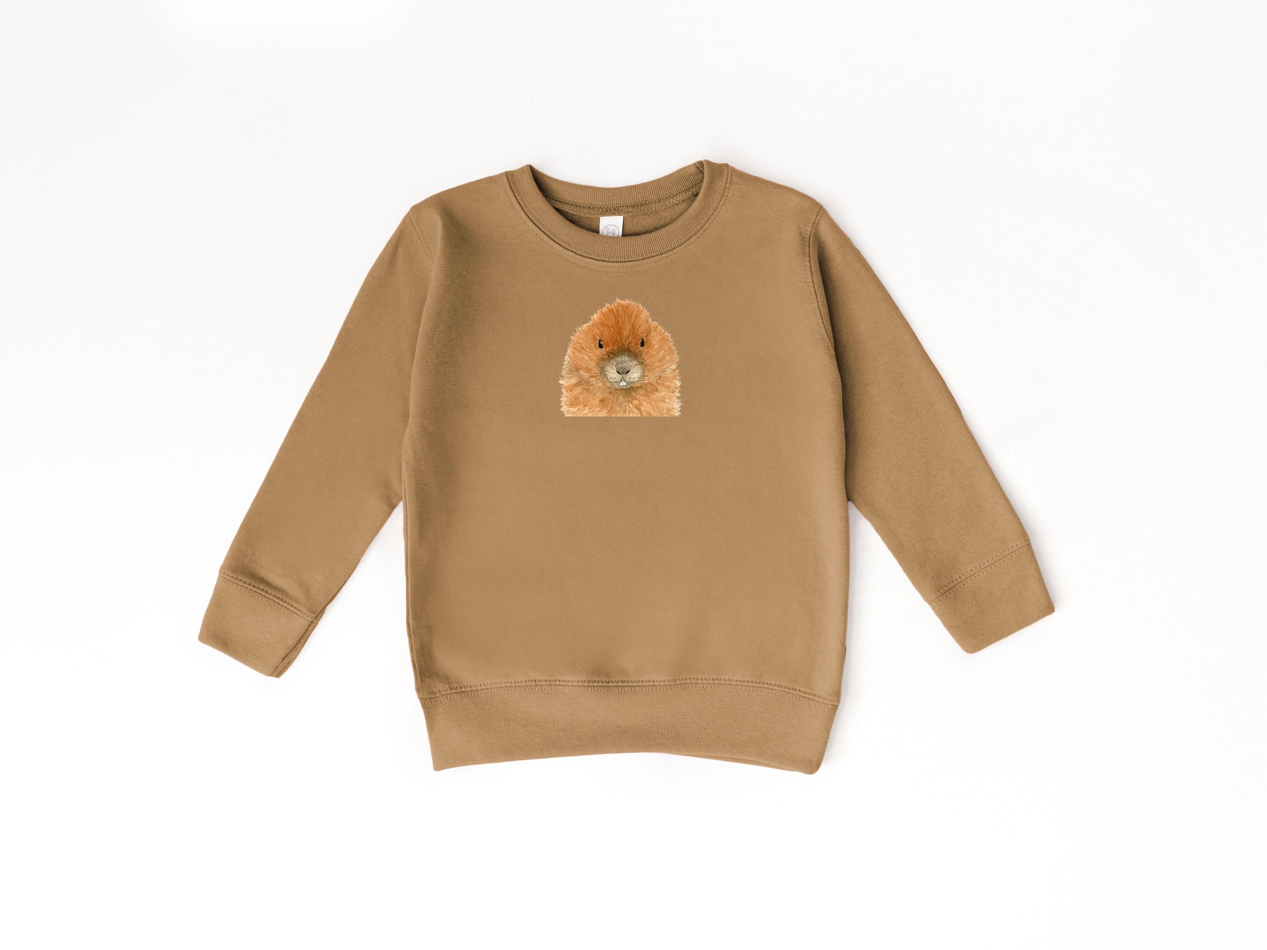 beaver brown CN.png