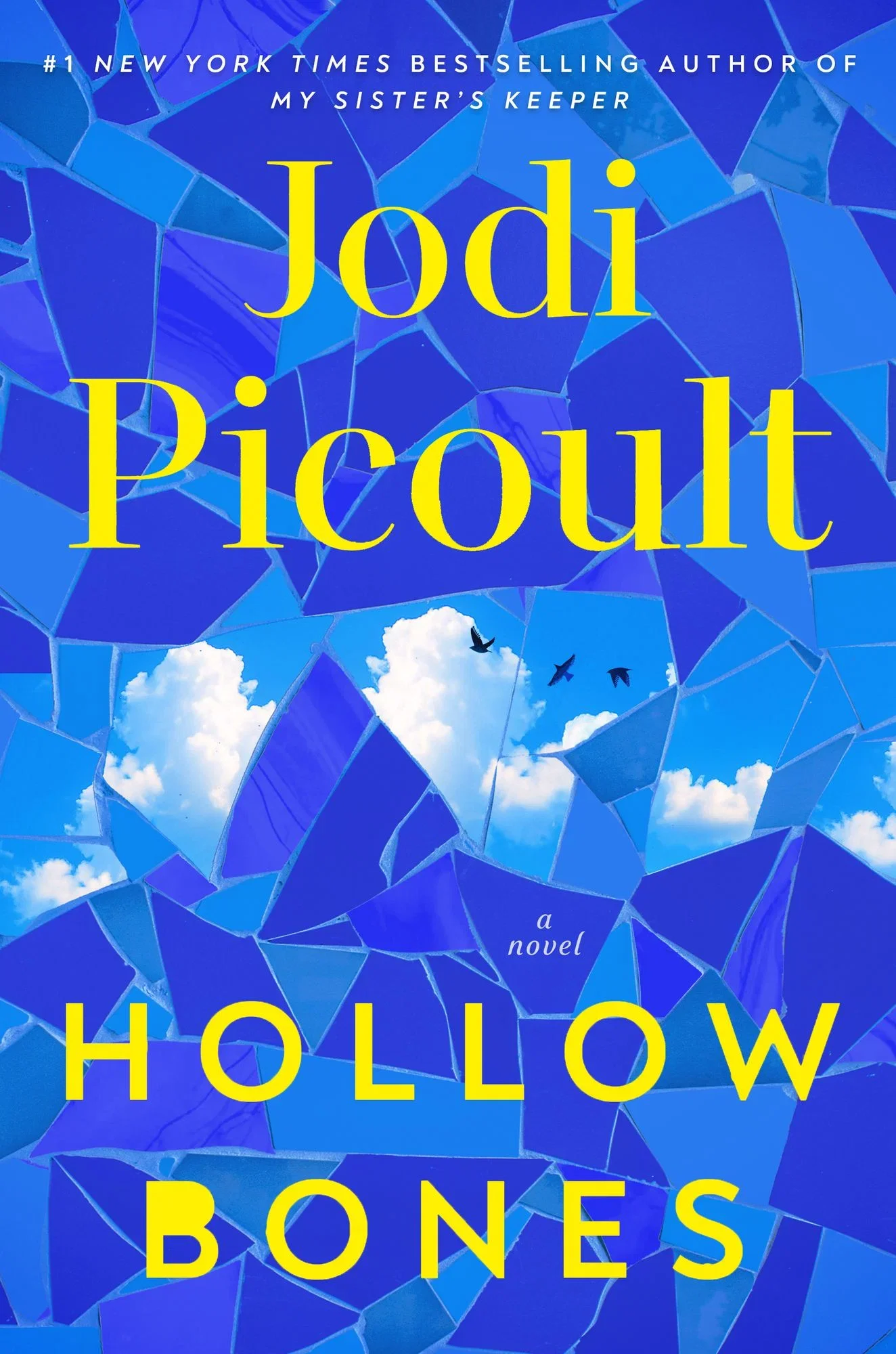 Hollow Bones by Jodi Picoult