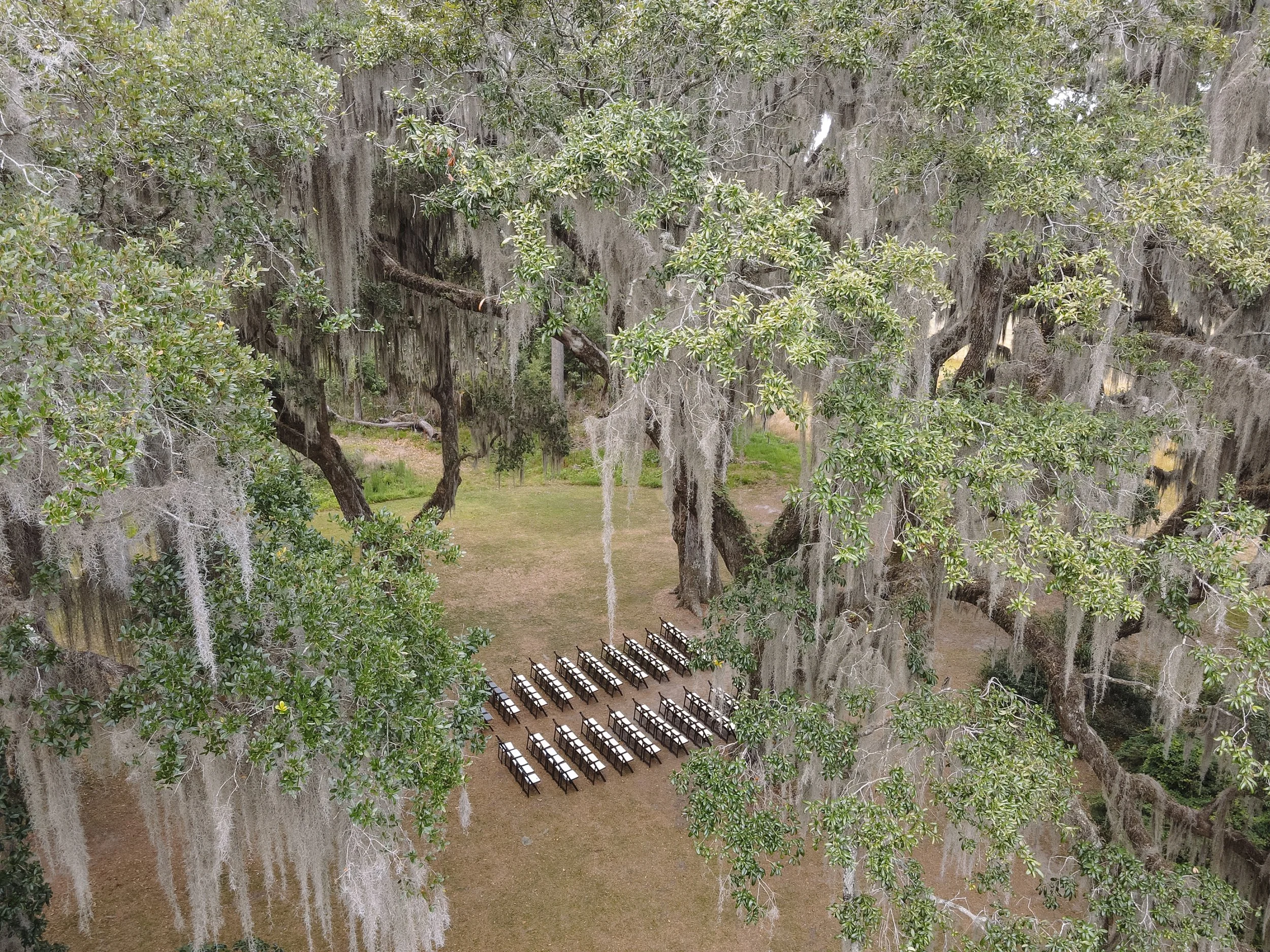 DJI_0593.jpg