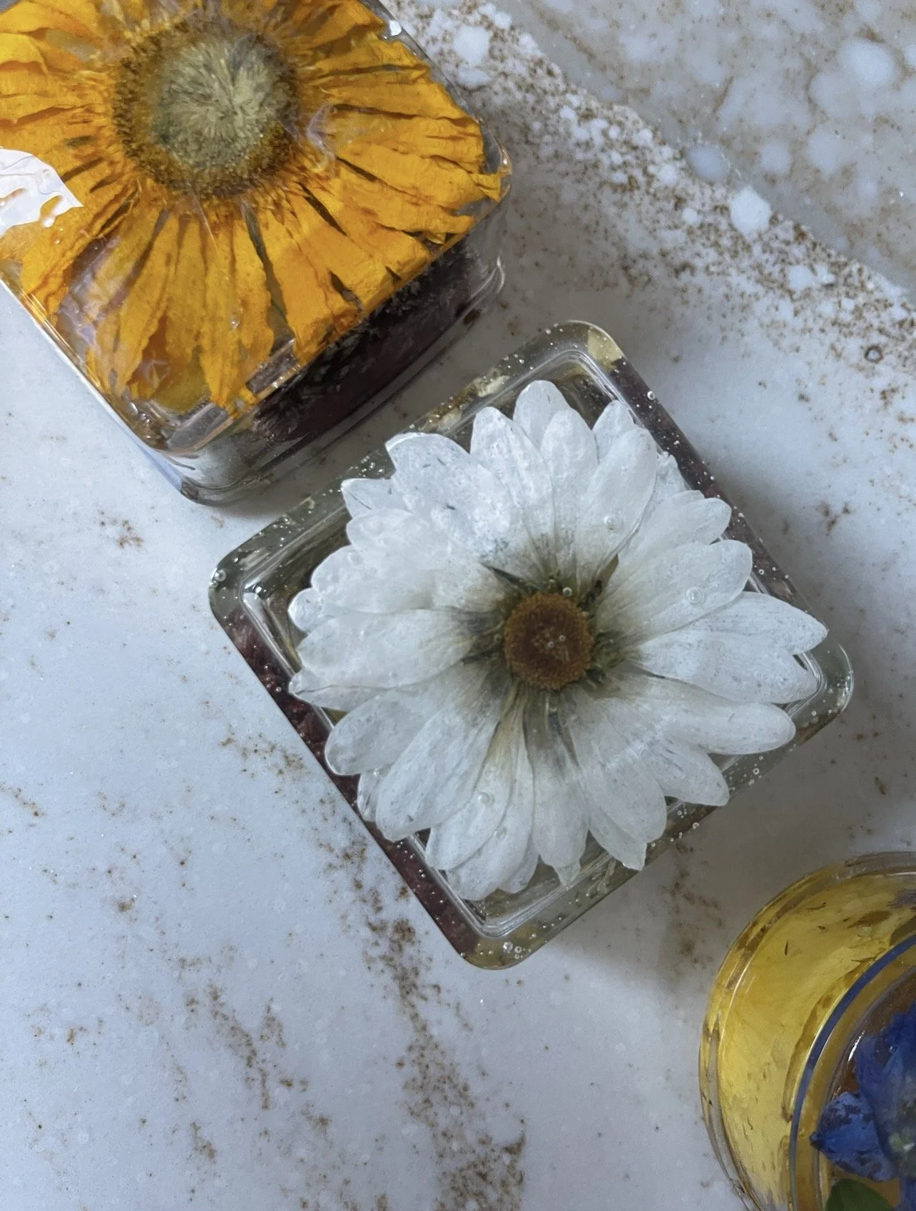 Decorative square glass containers with preserved daisies floating inside, placed on a white surface with dirt or stain marks.