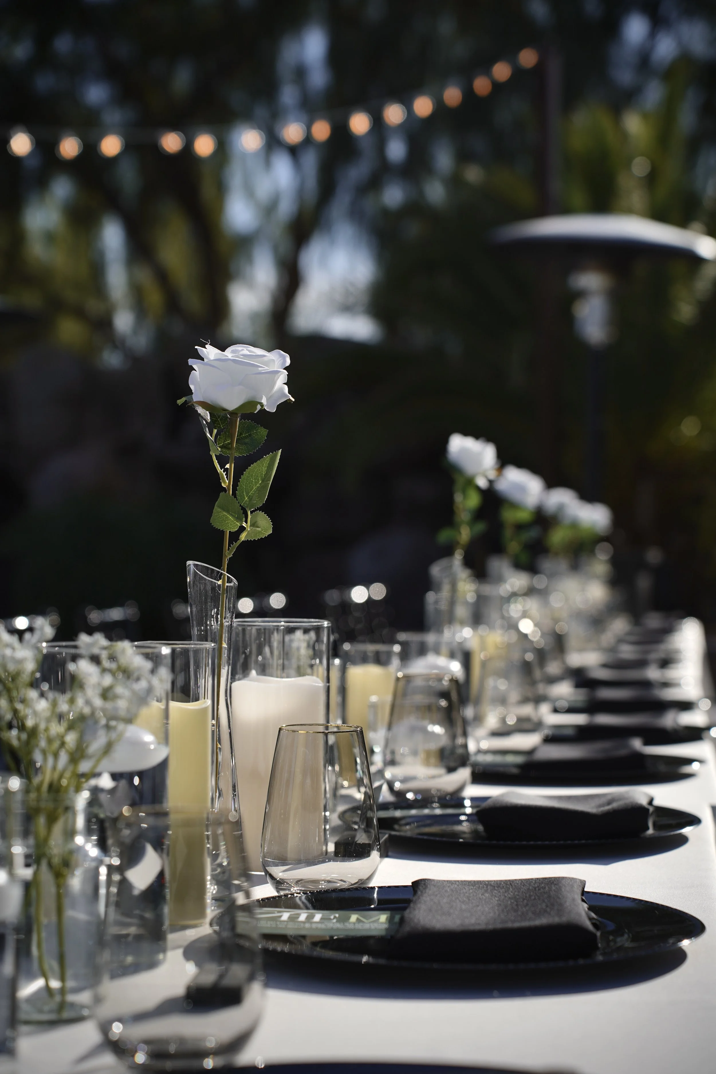 Photo Dec 21 2025, 2 33 01 PM.jpg