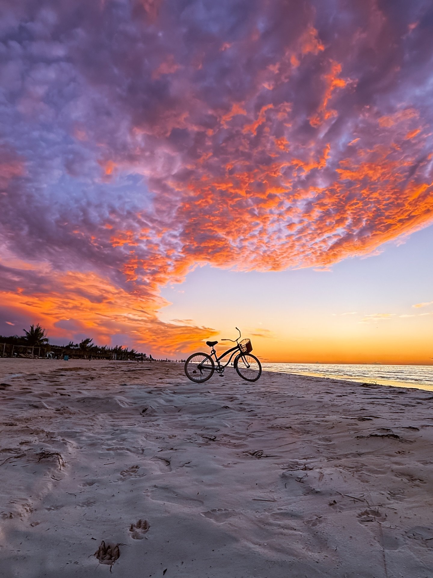Te compartimos estas hermosas postales de #Holbox 🥰💙🏝️ Vivir en esta hermosa isla es incre&iacute;ble&hellip; 🌊 #VisitHolbox #Ferry #9H #9Hermanos 

Gracias por las fotos tan bellas @murph_holbox 😎