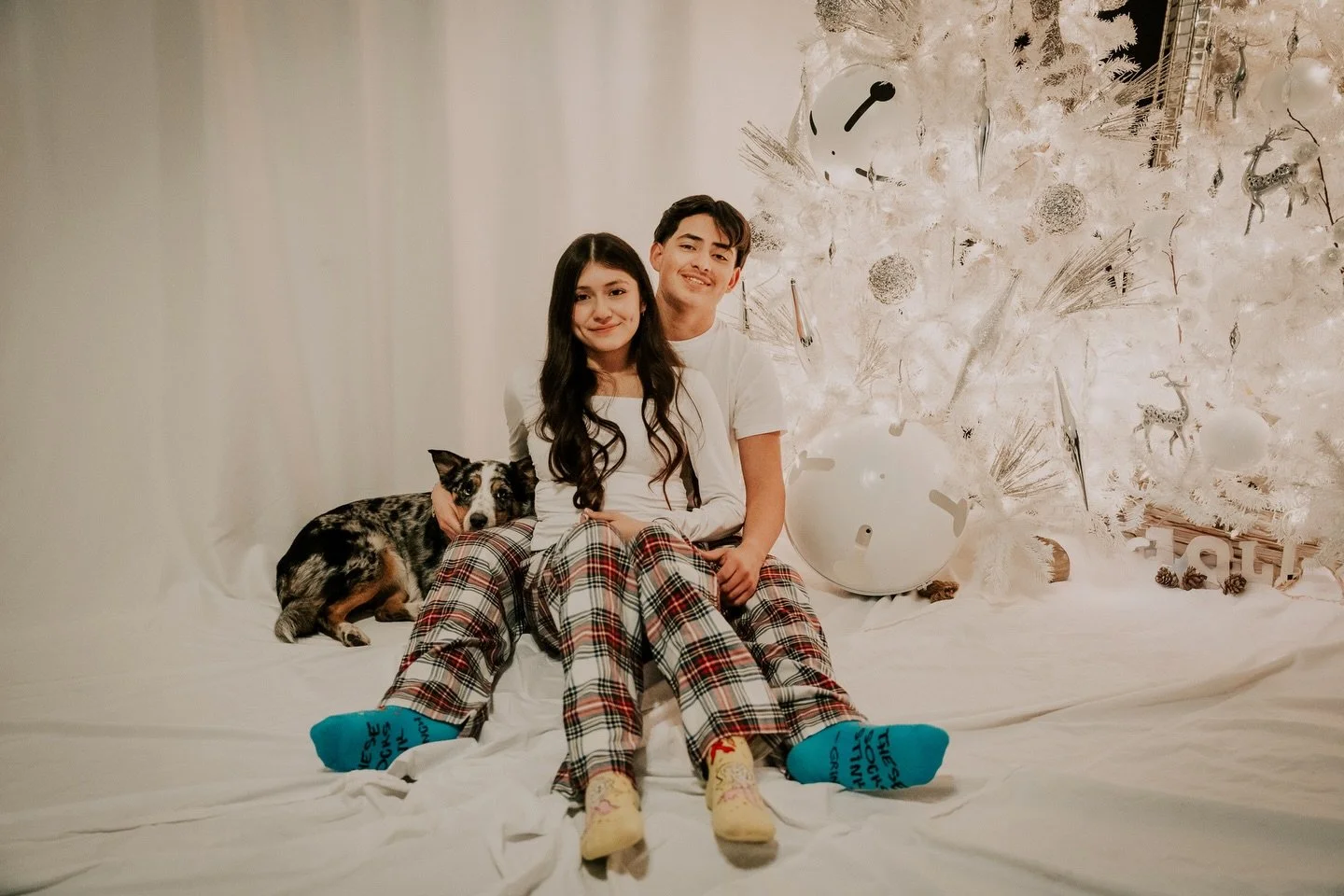 Celebrando cada oportunidad de compartir alegr&iacute;a, felicidad y amor. En estas &eacute;pocas Feliz Navidad🎄 y para todo lo dem&aacute;s gracias por ser parte de nuestra familia! 💕🎉🎄
#feliznavidad🎄 #alarconchristmas #christmasminis #dfwchris