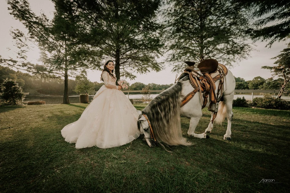 The Quinceañera Experience
