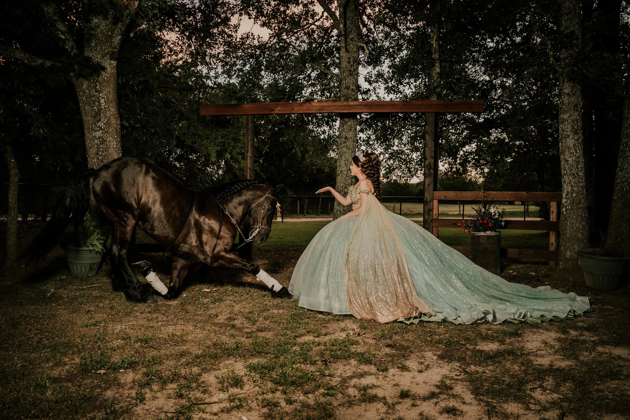 DSC04983-Edit-min.jpg