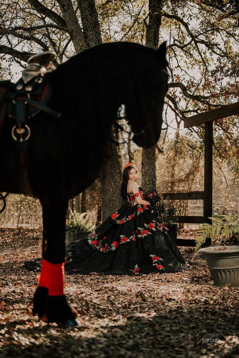 Rancho Las Chinas Quinceañera Photos in Quinlan — photograph by XVFifteen