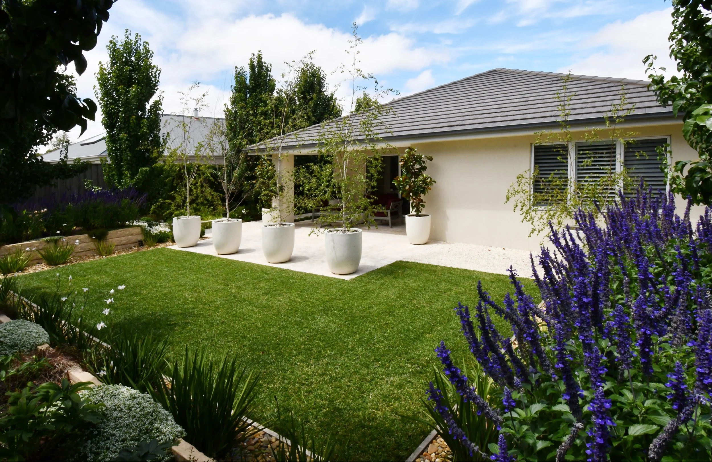The Cloudview rear north facing garden features an open carpet of lawn surrounded by Siberian irises and raised beds filled with deep purple salvias, hellebores, hydrangeas and pear trees. A calm and relaxing space for buzzing bees and gossamer butte