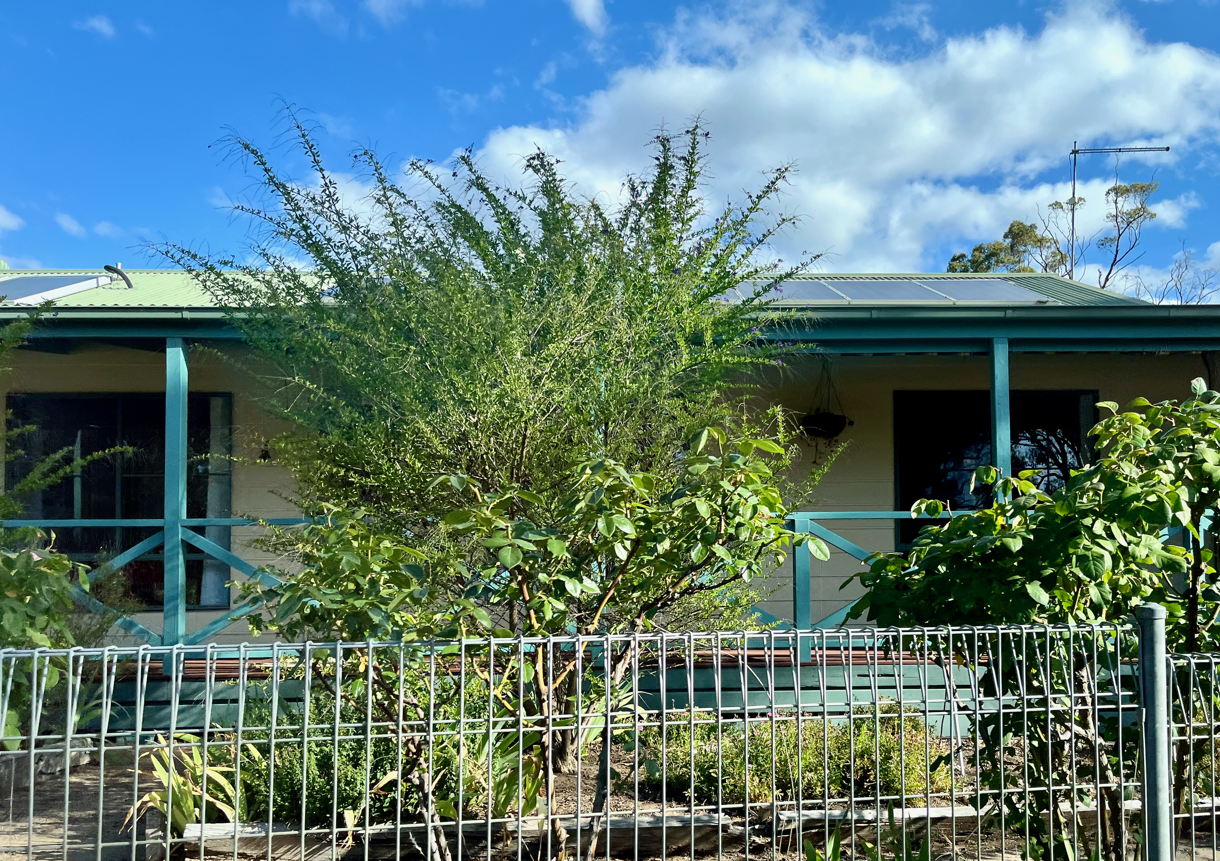 Heathcote Exterior Front Verandah Before.png