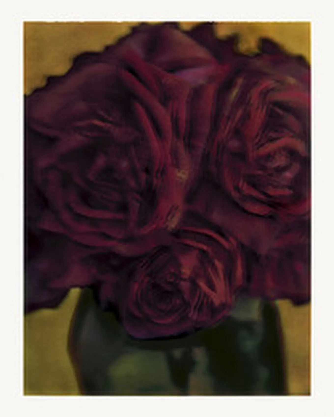 Sarah Moon — Les Roses (1988) 