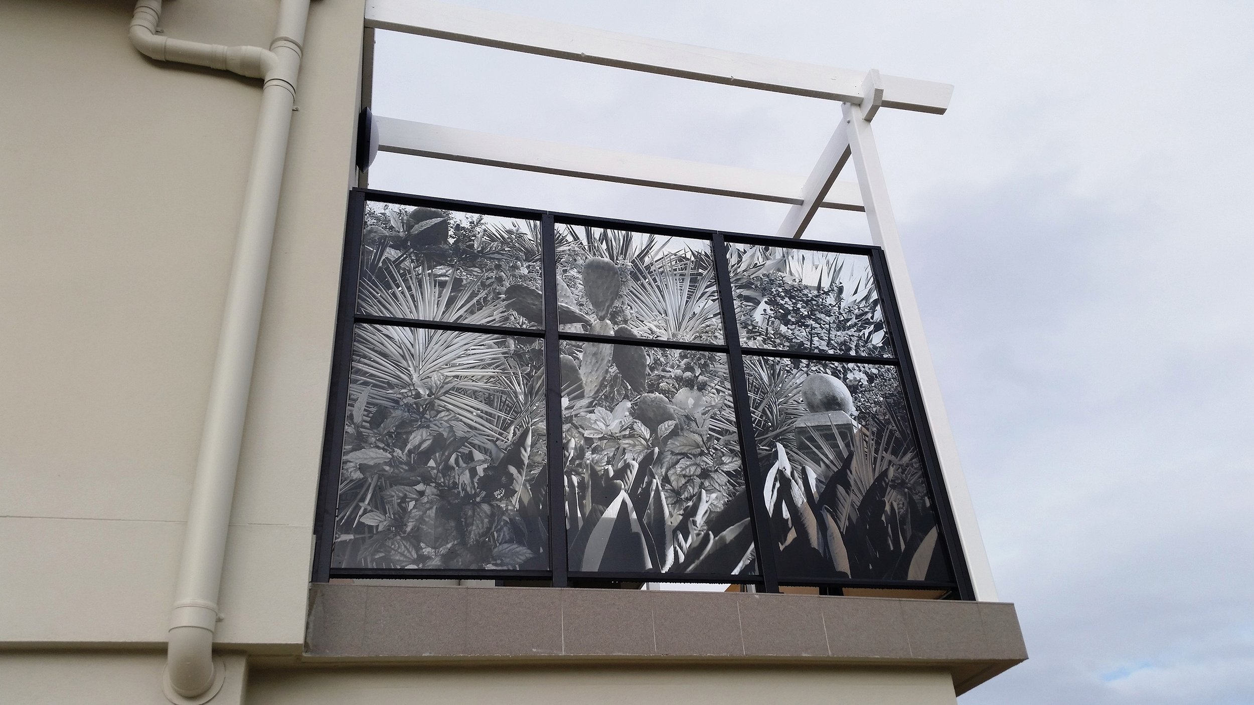 Vista Etched Glass 3_.jpg