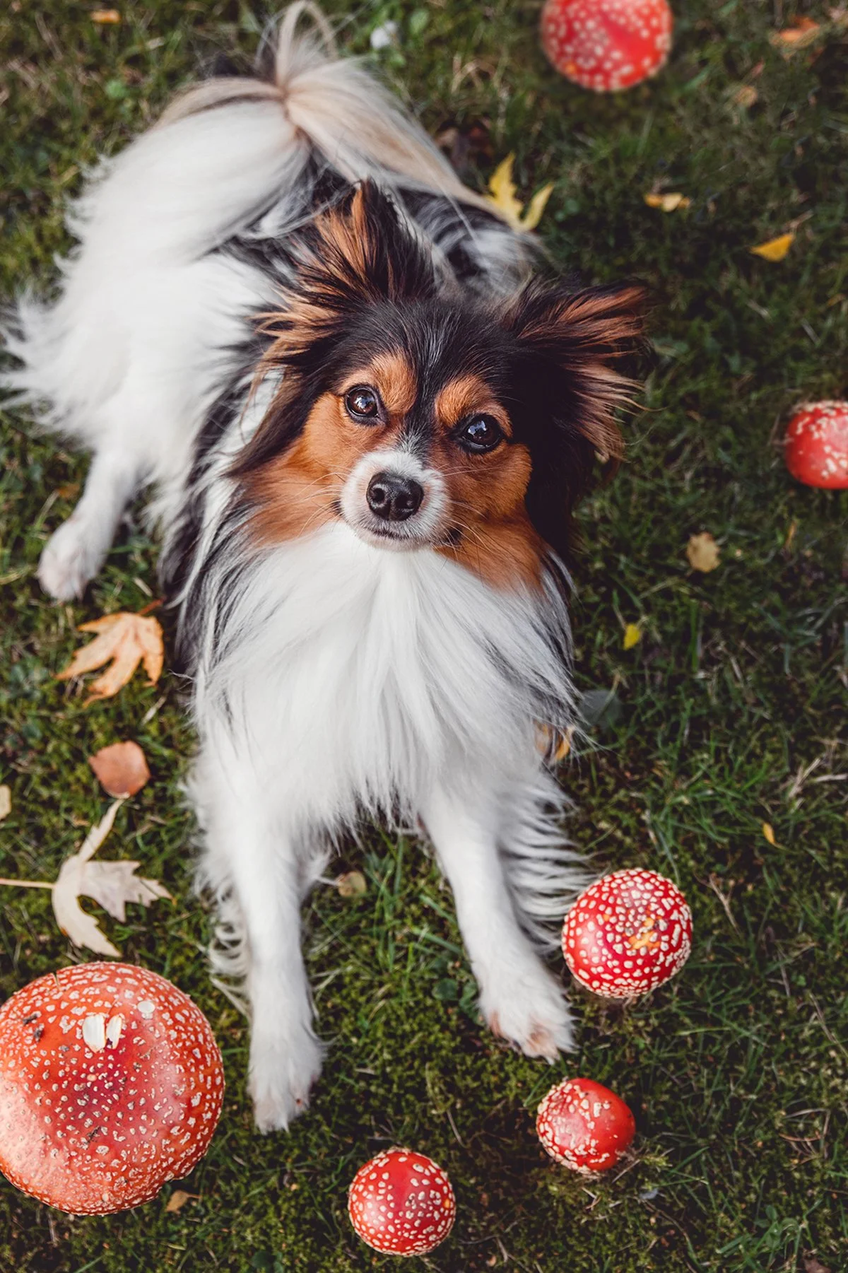 IMG_2340 Kopie 3.jpg