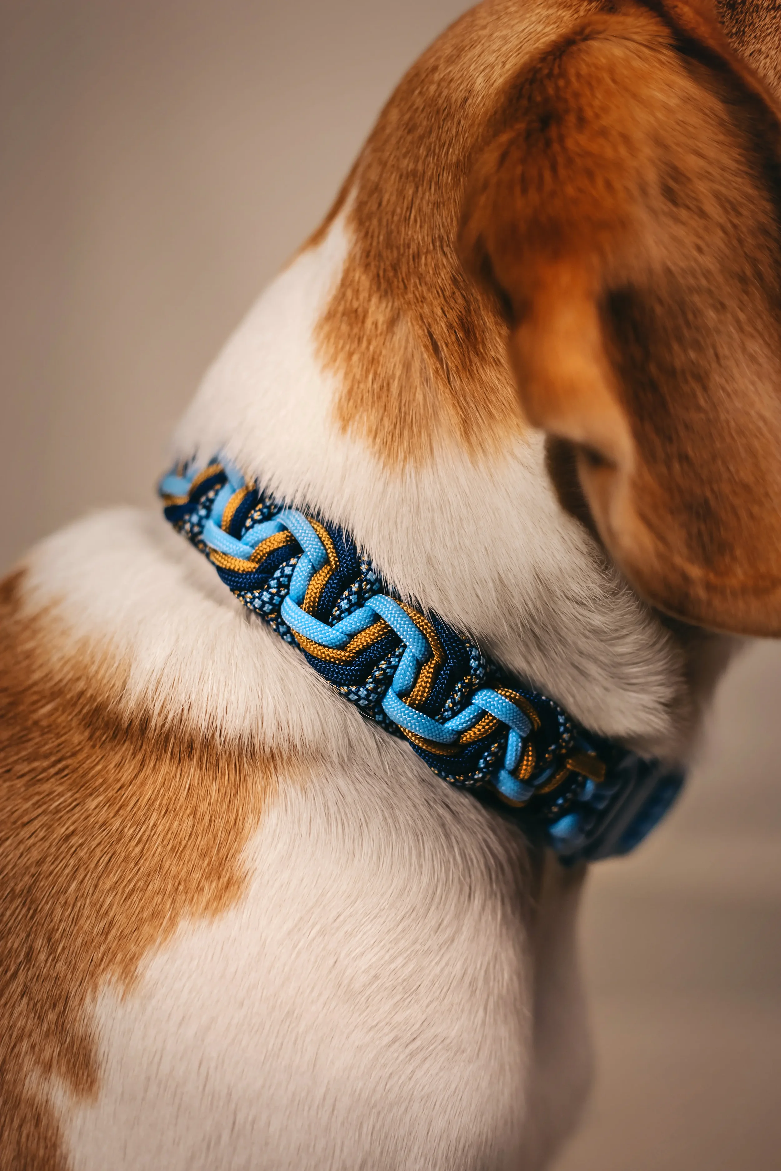 Oh Nice Fotografie Produktfotografie Paracord-Halsband
