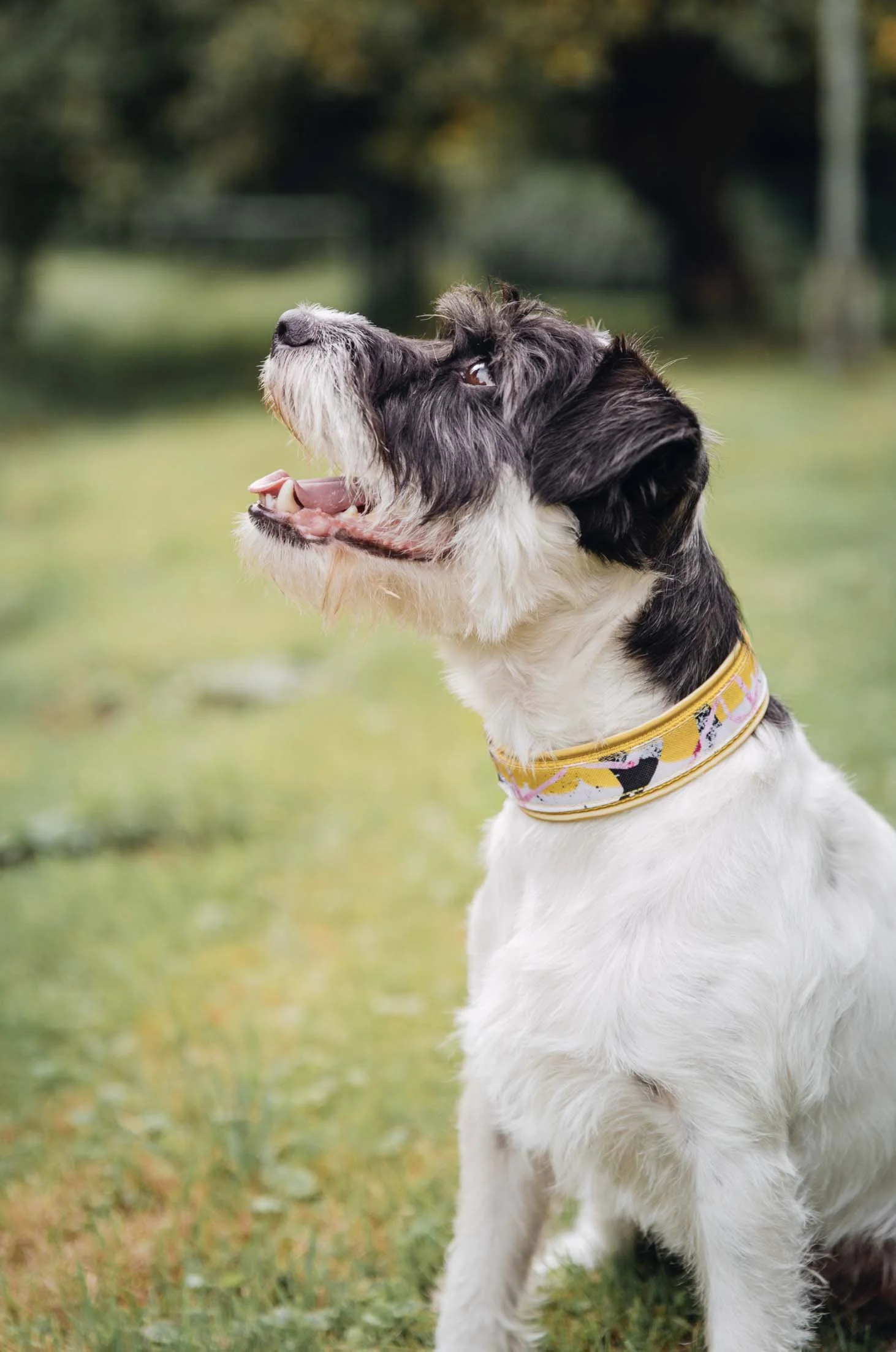 Kumpel | Spring Break