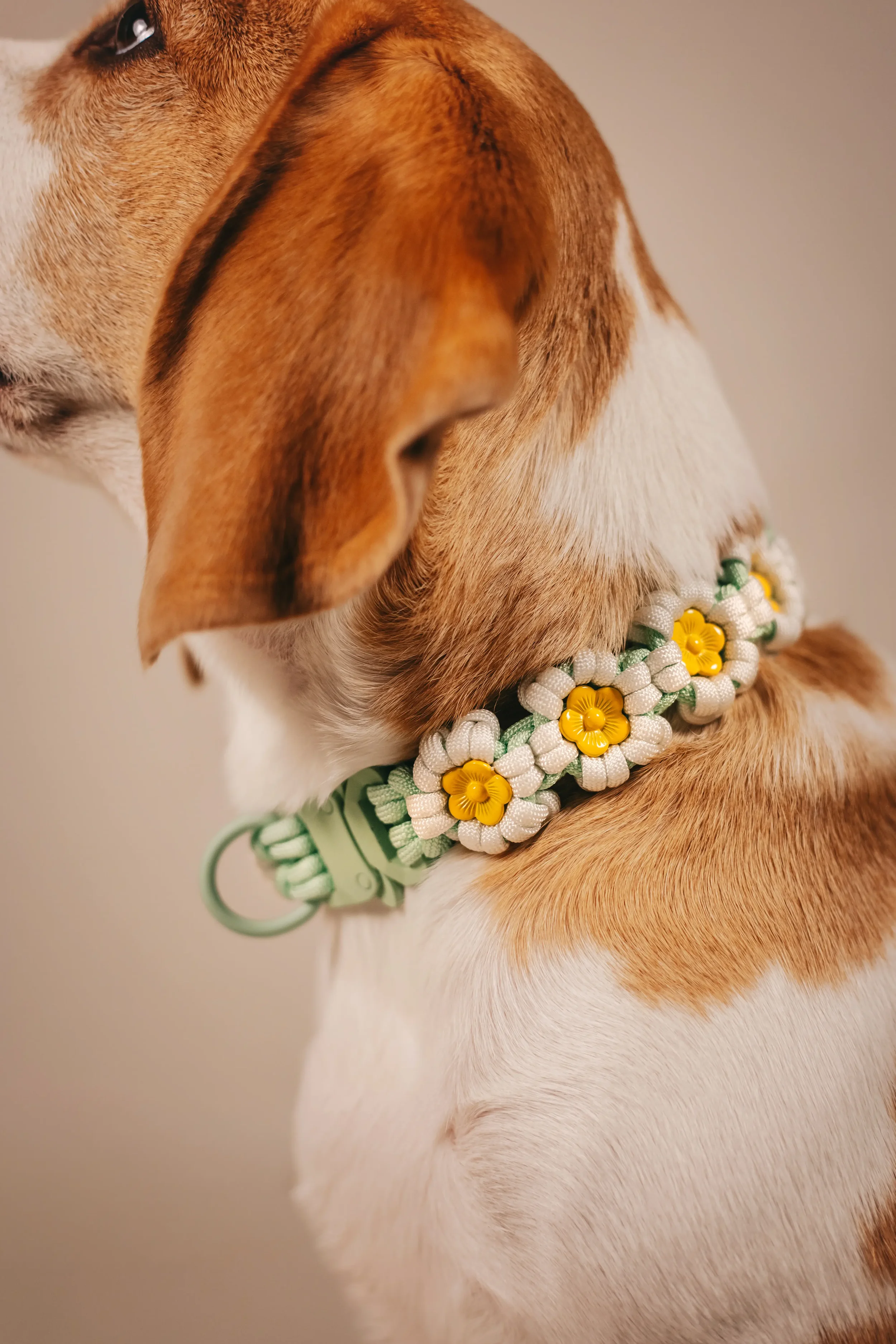 Oh Nice Fotografie Produktfotografie Paracord-Halsband