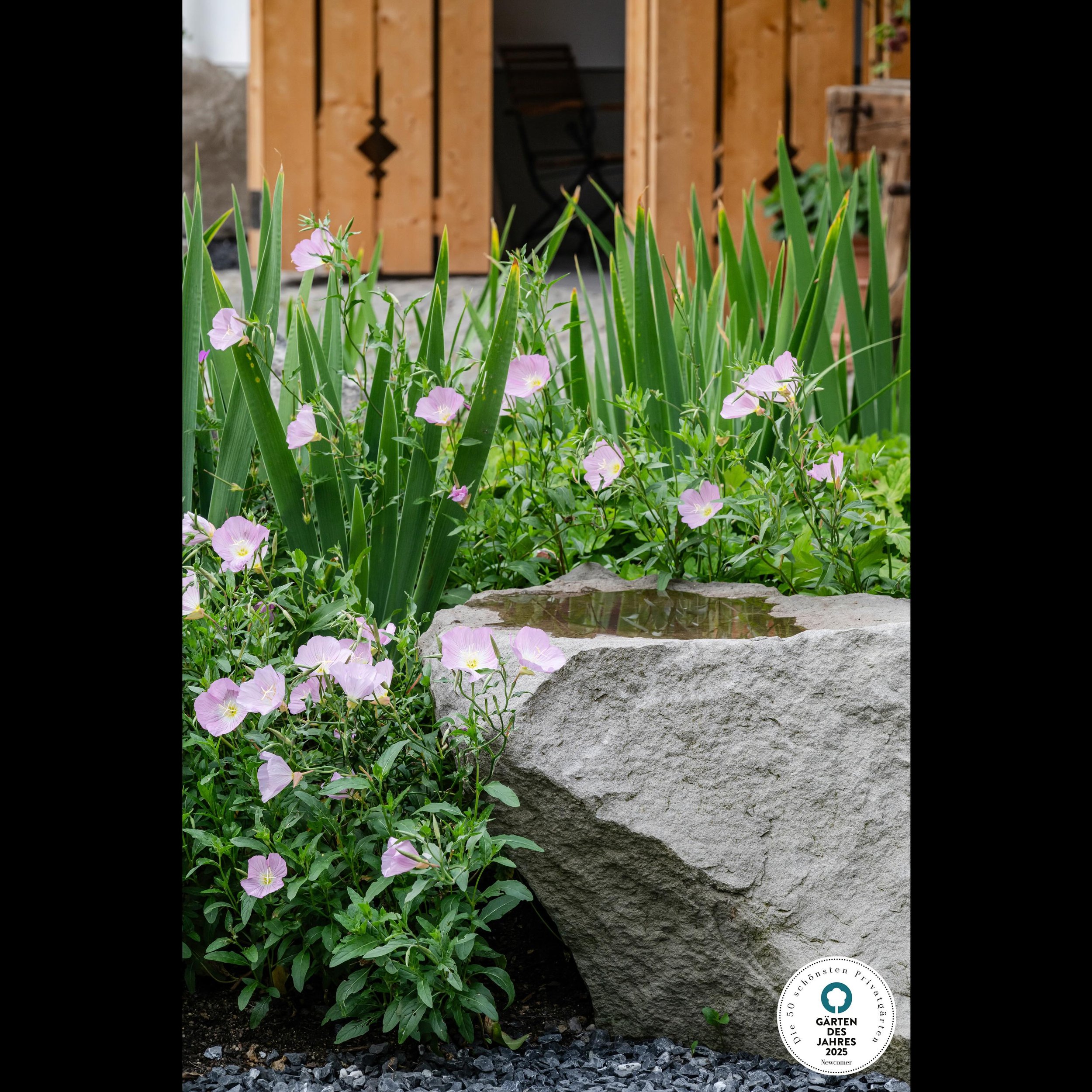 Stein mit Charakter &amp; Nutzen
Natur trifft Design! 🏡✨ Dieser M&uuml;ller-Bollinger Sandstein Brand erz&auml;hlt nicht nur Geschichte, sondern schafft auch Leben &ndash; in seiner nat&uuml;rlichen Ausw&ouml;lbung sammelt sich Wasser und dient als 
