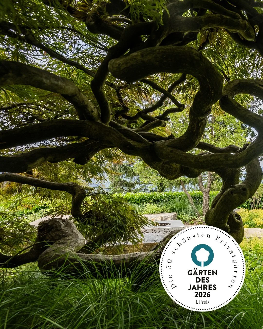 🥇1. Platz sch&ouml;nste G&auml;rten des Jahres beim @callwey Verlag.

Mit unserem Projekt &laquo;Der Garten als ideale Fortsetzung einer Landschaft&raquo; in Weggis im Kanton Luzern durften wir zeigen, wie ein Garten die bestehende Umgebung selbstve