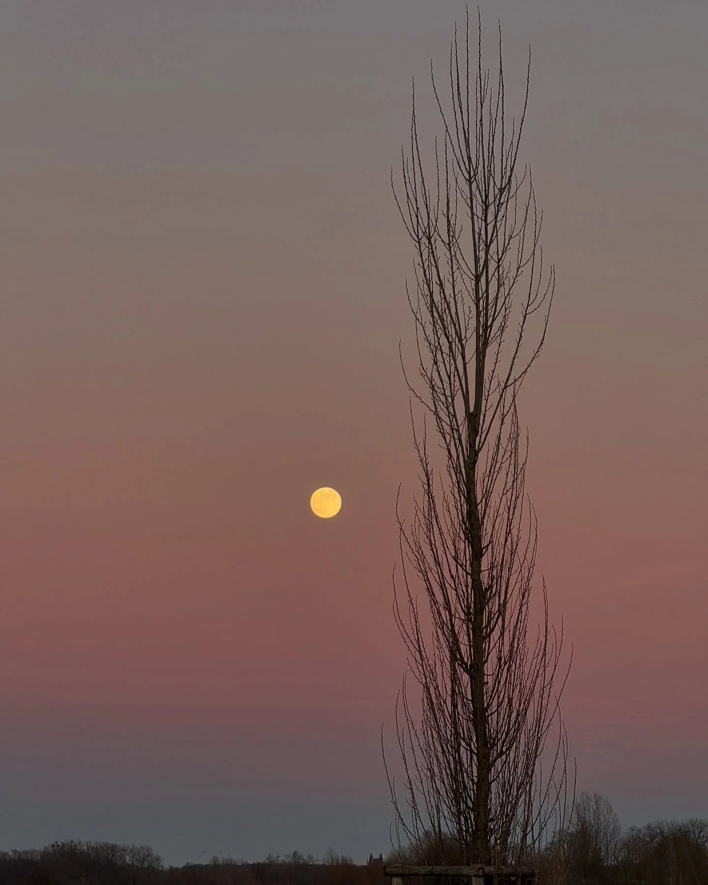 Take a moment and feel inside yourself. What do you need right now? What could make your evening even better? My body needs rest and relaxation and a nutritious meal. 🌝 

#sacredmoments #fullmoon #soundbath #higherself #nourishing