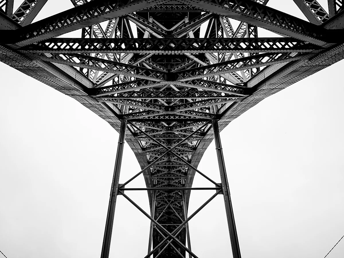 _1019861.jpg