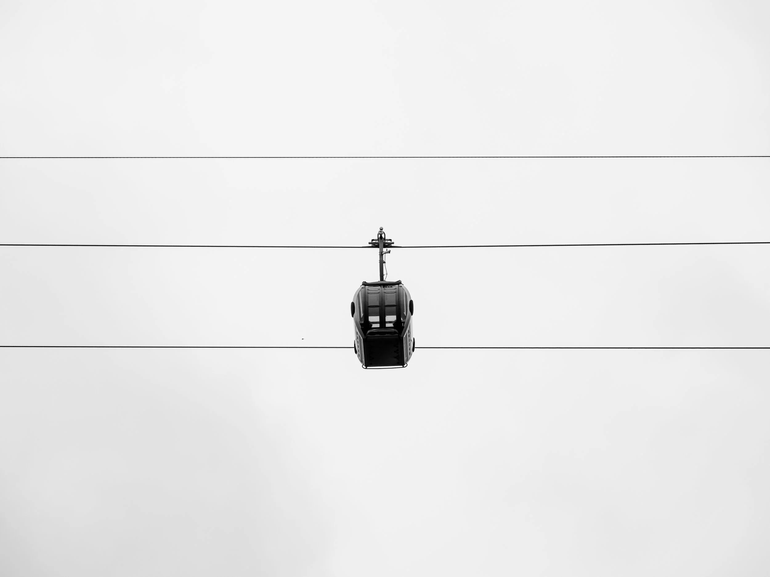 _1019945.jpg