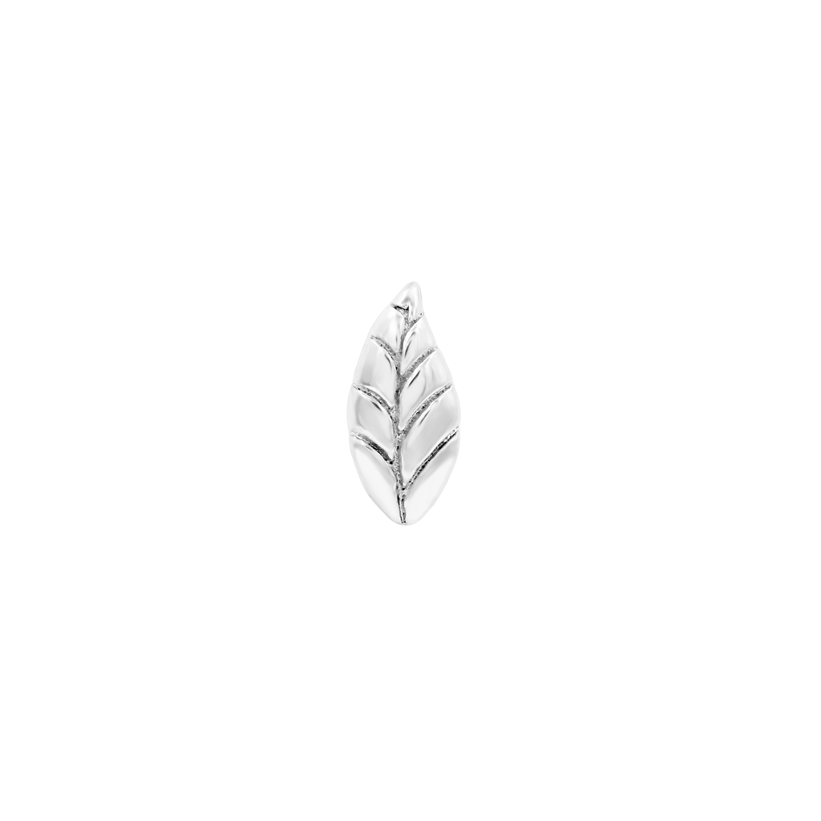 junipurr_14k-white-gold_Bay-Leaf_decorative-end_JJ0437-WG_0.png