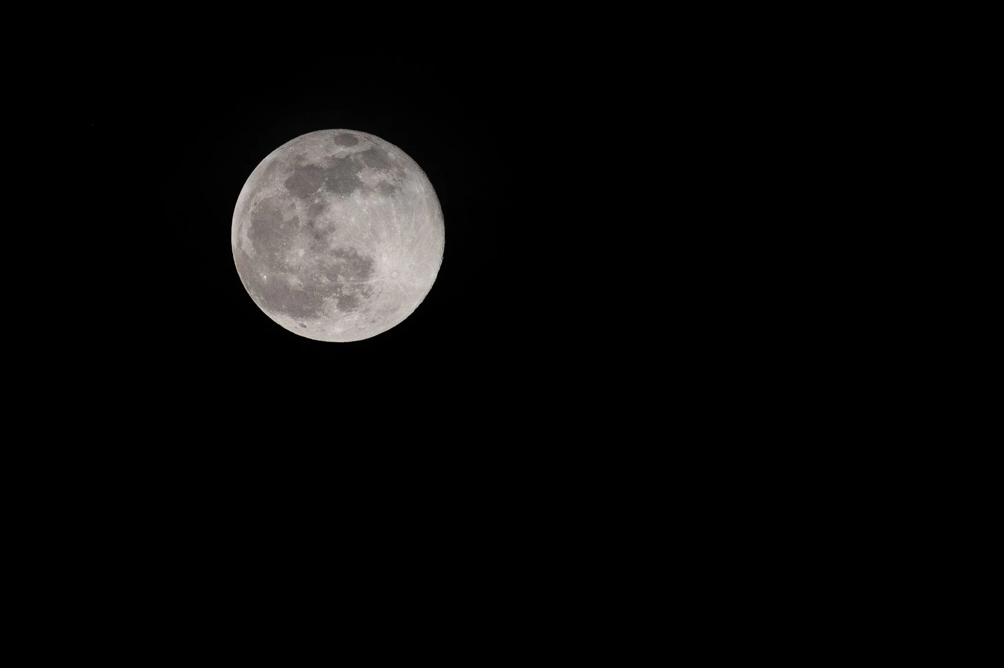 DSC_7329.jpg
