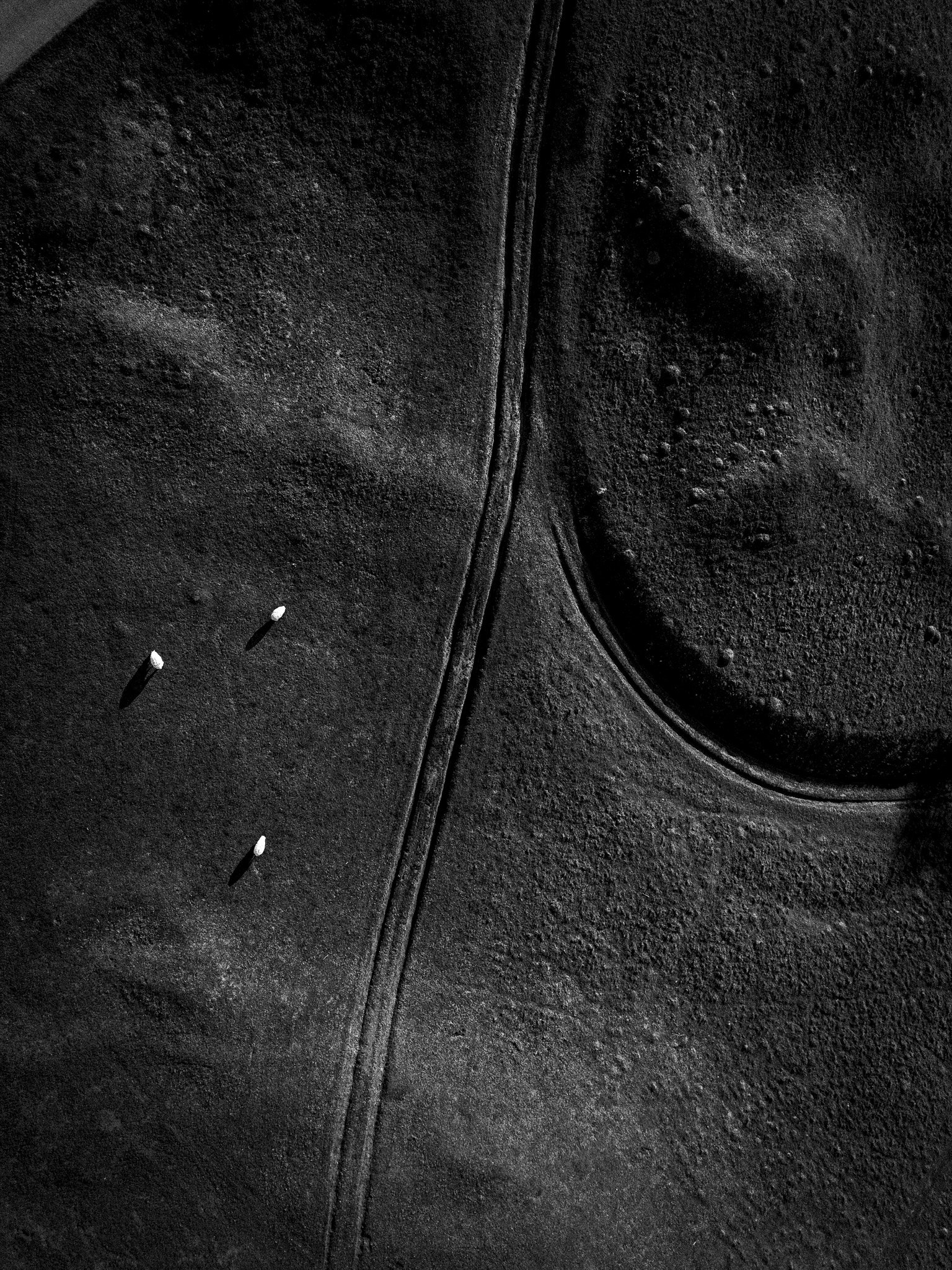 DJI_20251117141406_0025_D.jpg