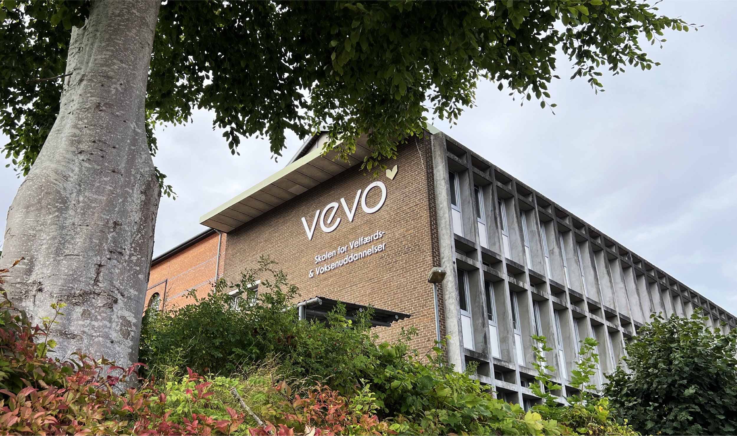 Vevo case elementer_Låse system.jpg