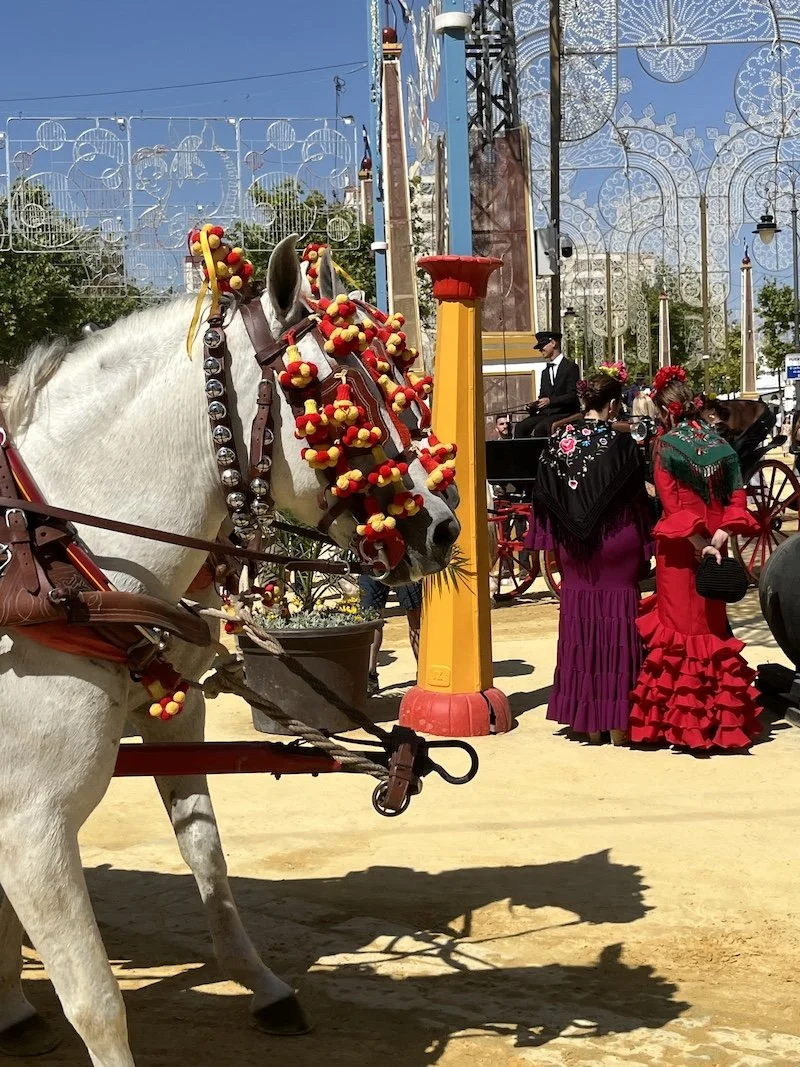 Feria 6.jpg