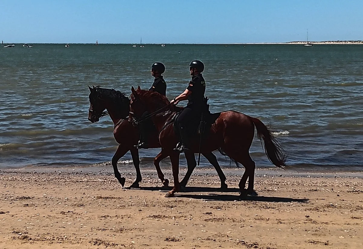 Mounted police looking for villains