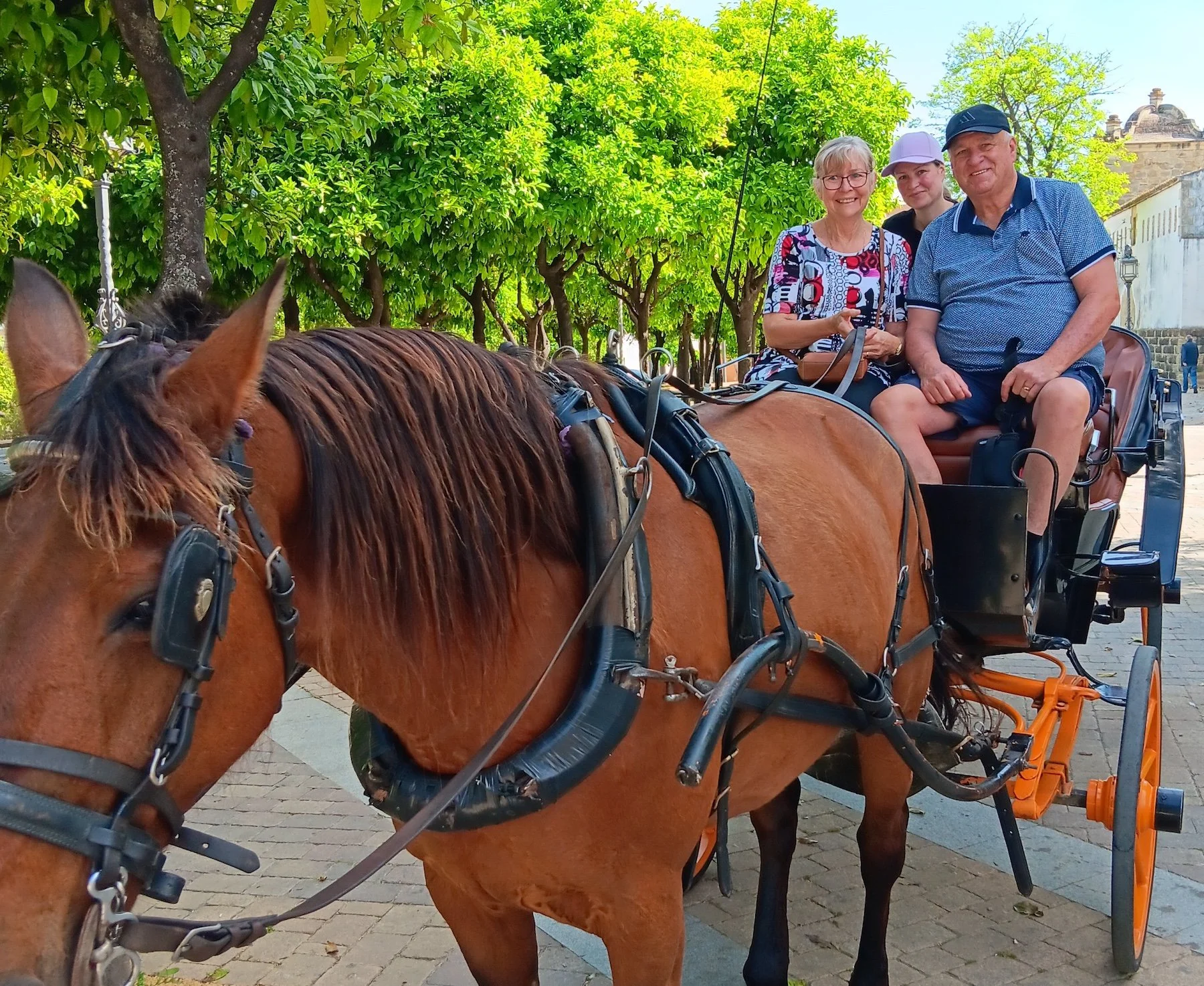 The clumsy tourist’s guide to Jerez